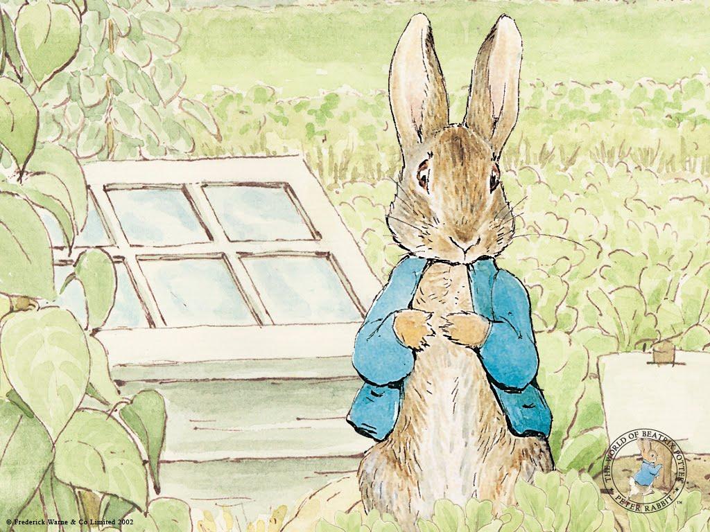 Beatrix Potter Wallpapers - Top Free Beatrix Potter Backgrounds