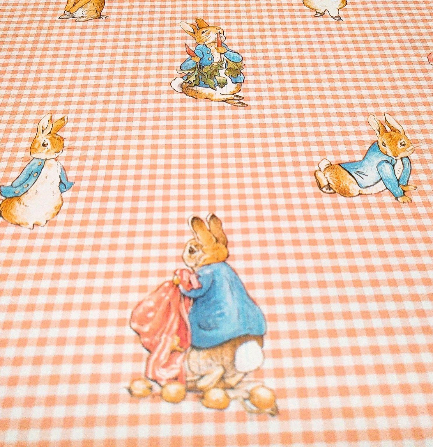Beatrix Potter Wallpapers - Top Free Beatrix Potter Backgrounds