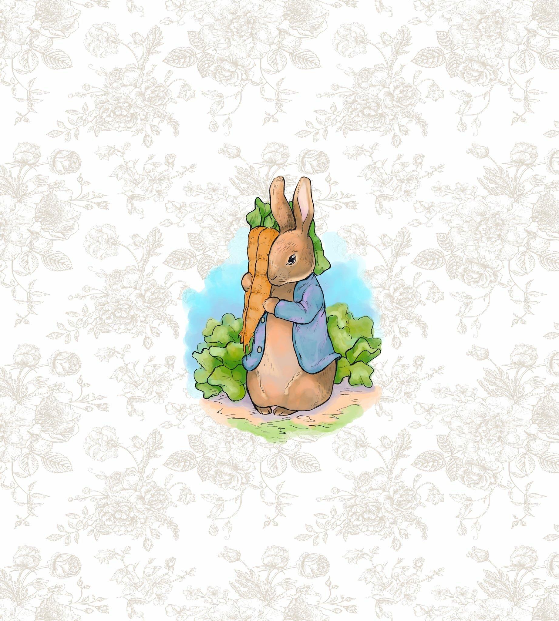 Beatrix Potter Wallpapers - Top Free Beatrix Potter Backgrounds