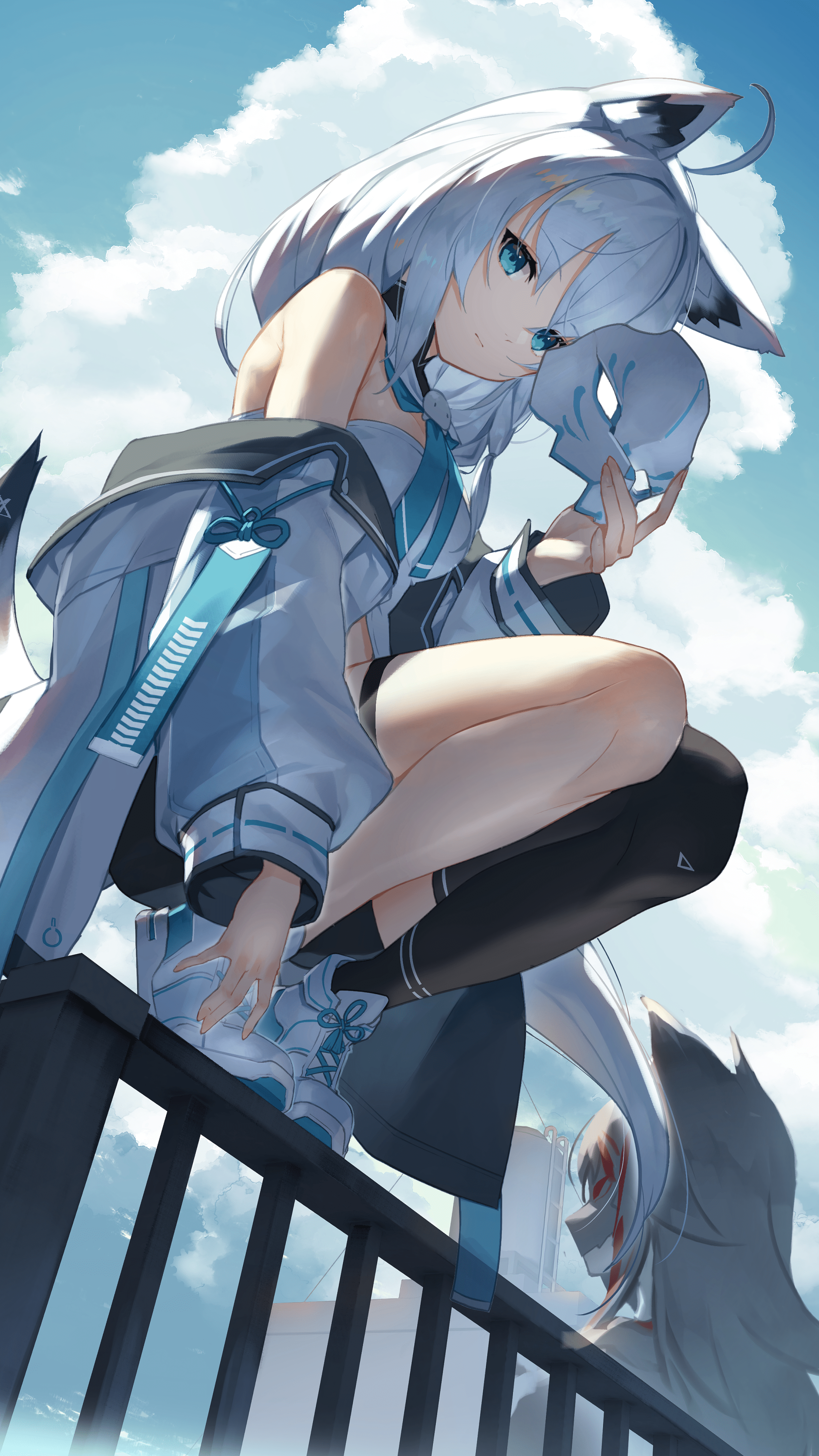 2250x4000 Shirakami Fubuki [Virtual Youtuber] (2250×4000)