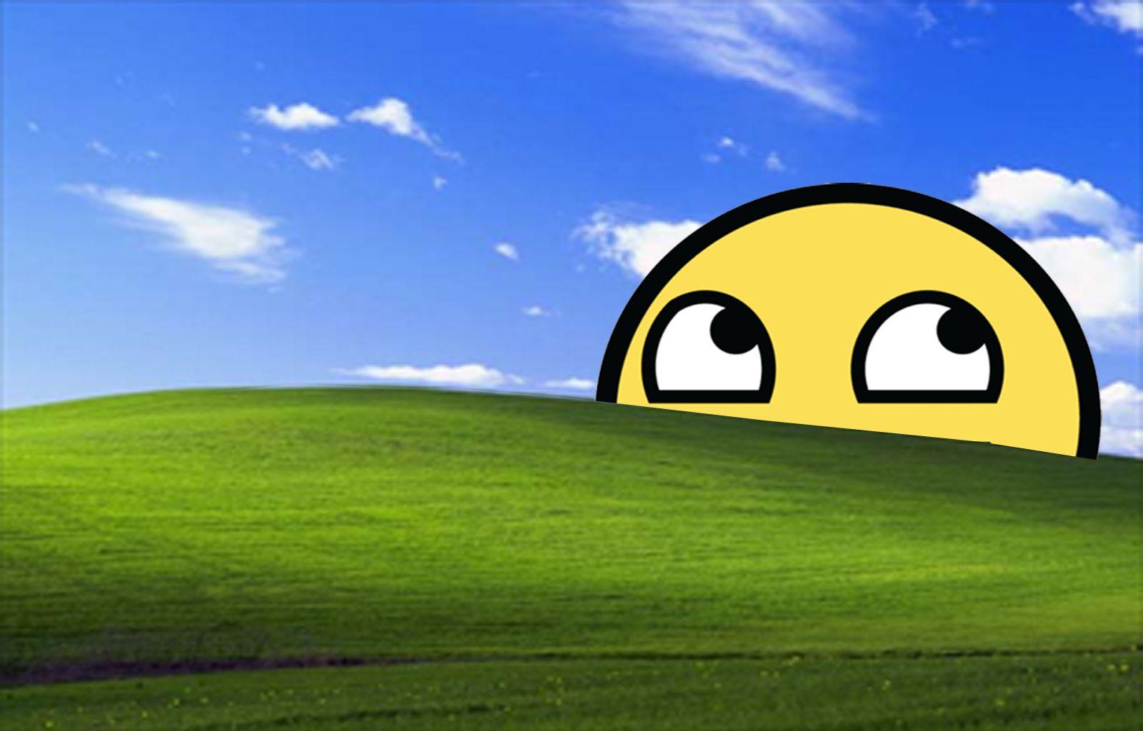 1600x1024 Funny Bliss Windows Wallpaperx1024
