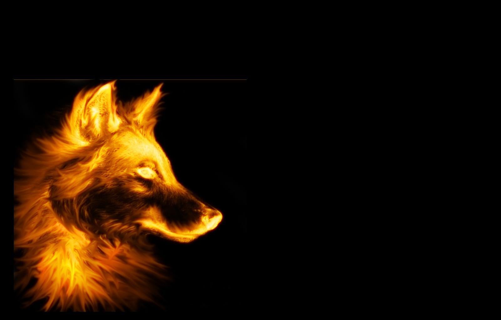 1600x1024 orange wolf last dump 1600x1024 wallpaper High Quality Wallpaper, High Definition Wallpaper