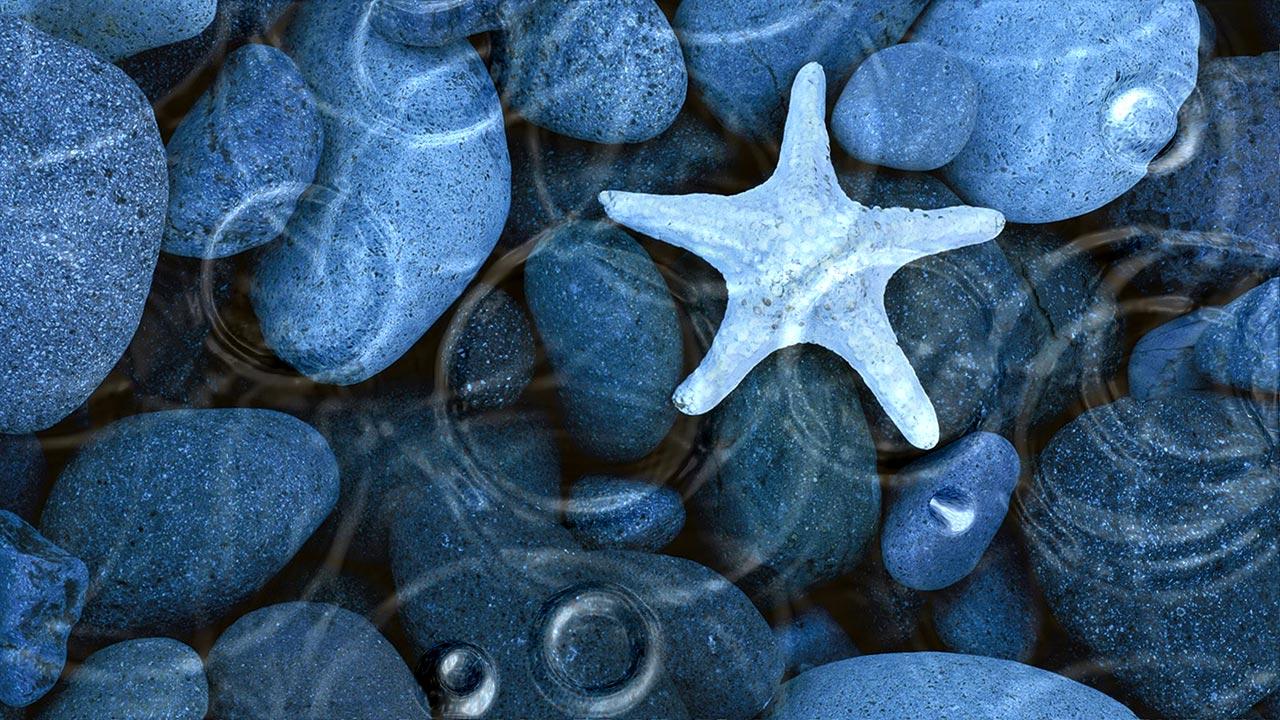 1280x720 Live wallpaper pc free download