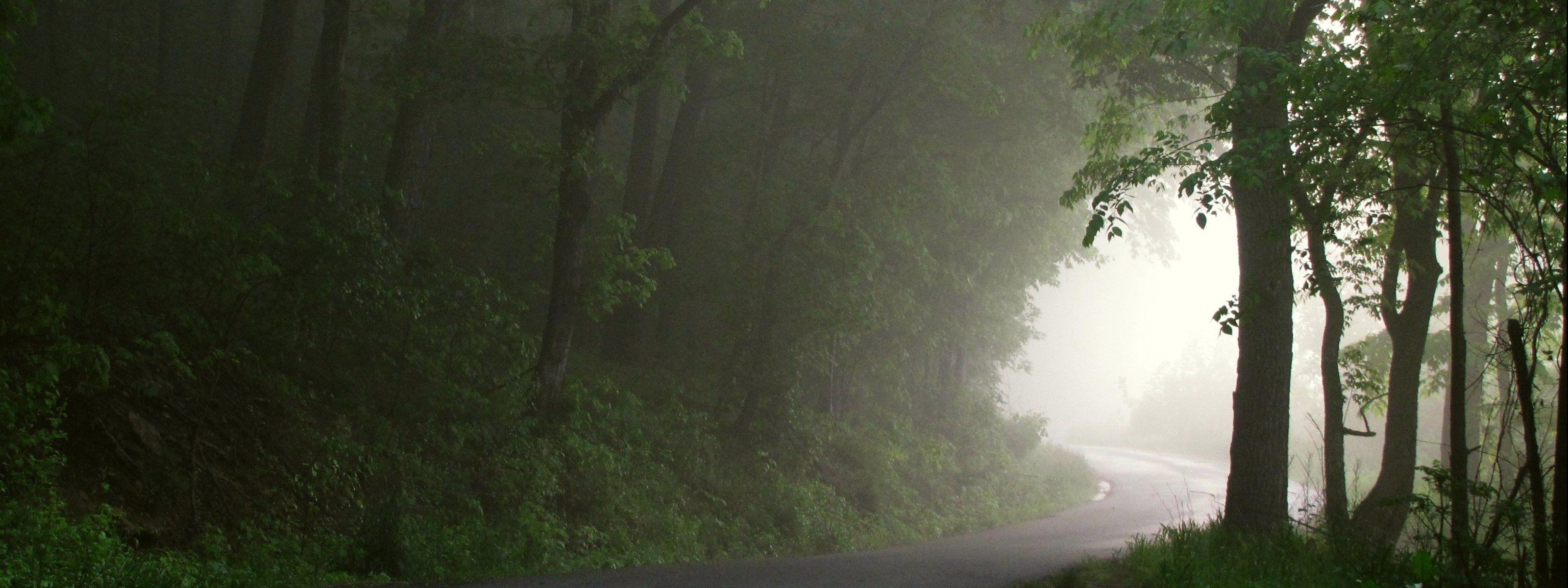 3200x1200 multi, , monitor, desktop image, mobile wallpaper, nature