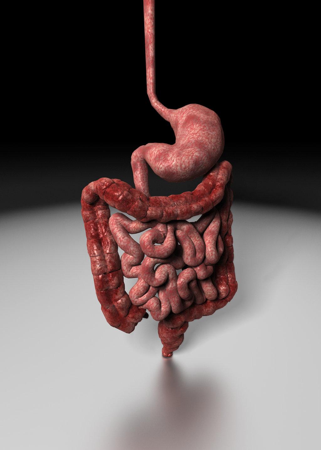 Печень влияет на желудок. ЖКТ желудочно-кишечный тракт. Желудочно-кишечный тракт курильщика. Пищеварительная система человека кишки. Пищеварительная система человека желудок.