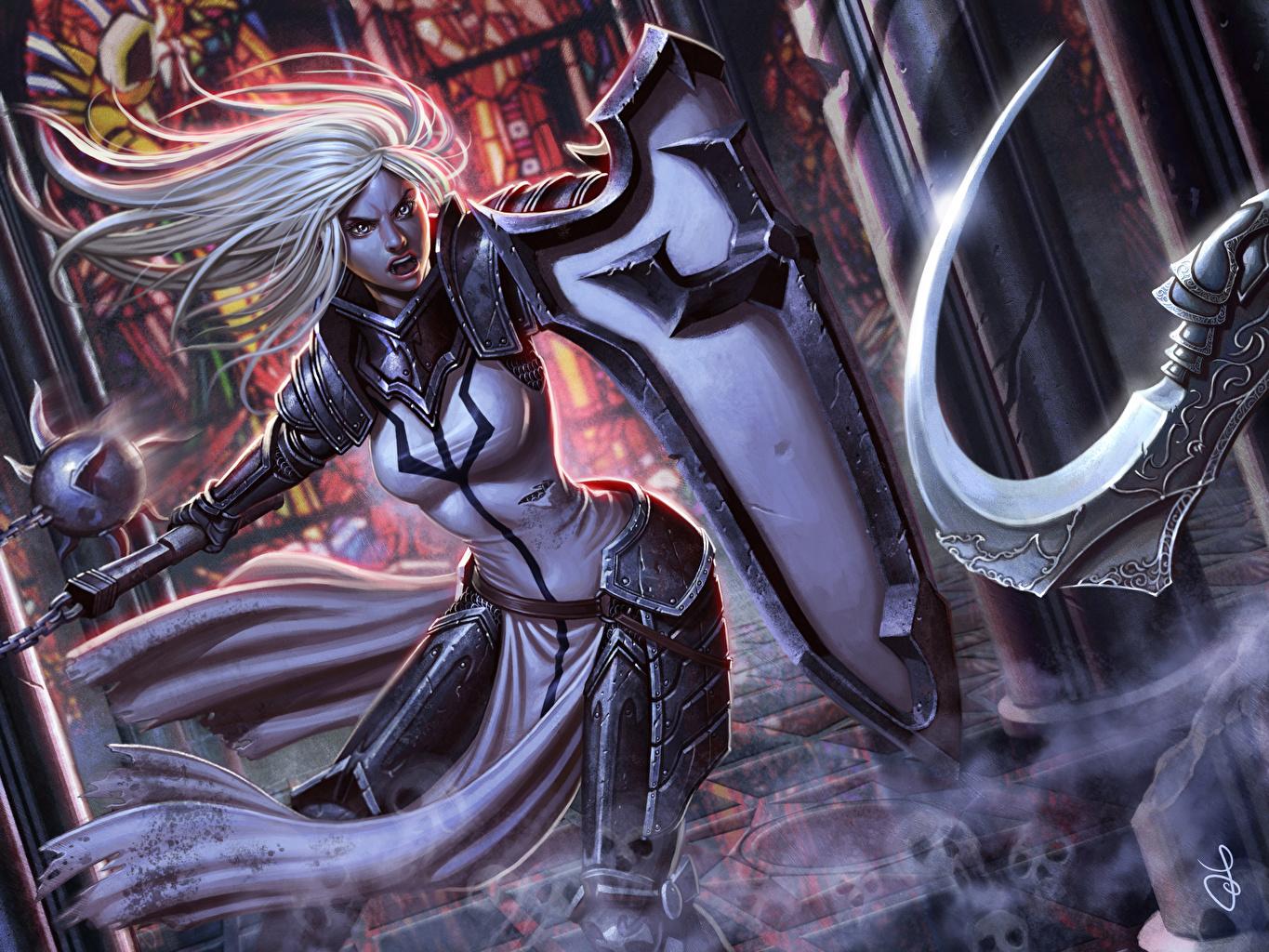 1365x1024 Picture Diablo 3 Armor Shield Blonde girl warrior Crusader Girls