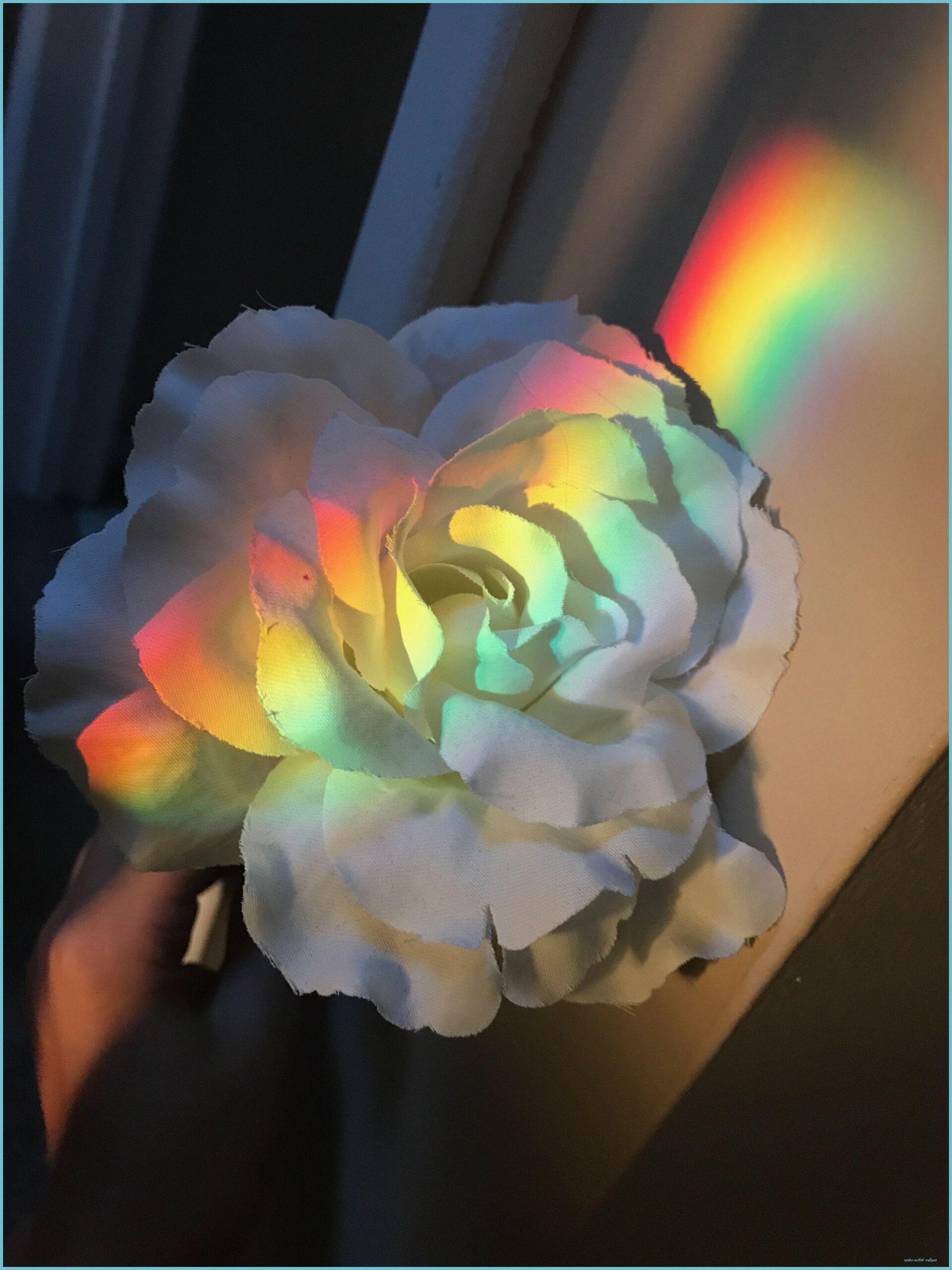 1920x2560 Rainbow Aesthetic Wallpaper Aesthetic Wallpaper