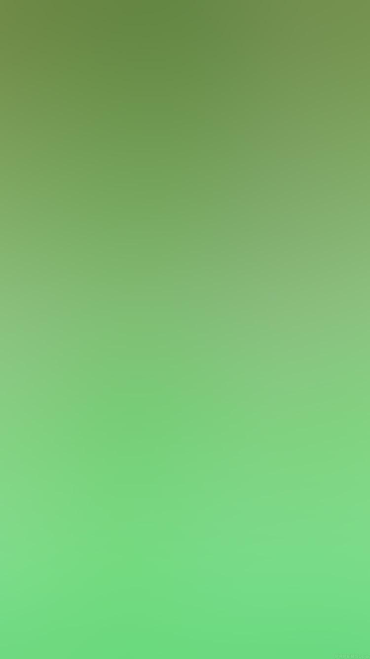 750x1334 iPhoneXpapers green gradation blur