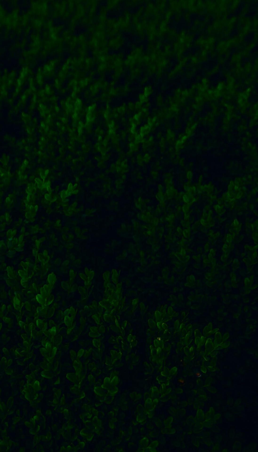 1096x1920 Tumblr