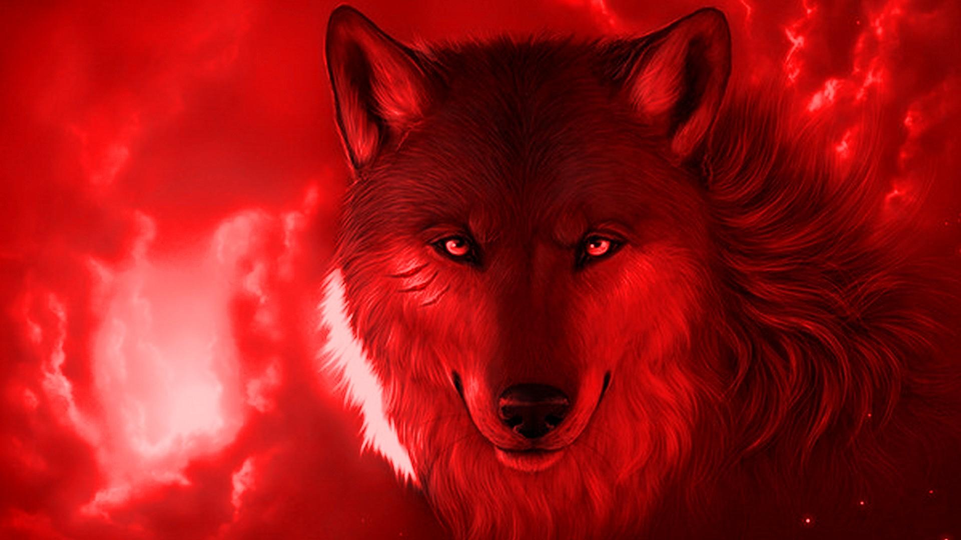 Red Wolf wallpaper by Graphistun1919  Download on ZEDGE  ac0d