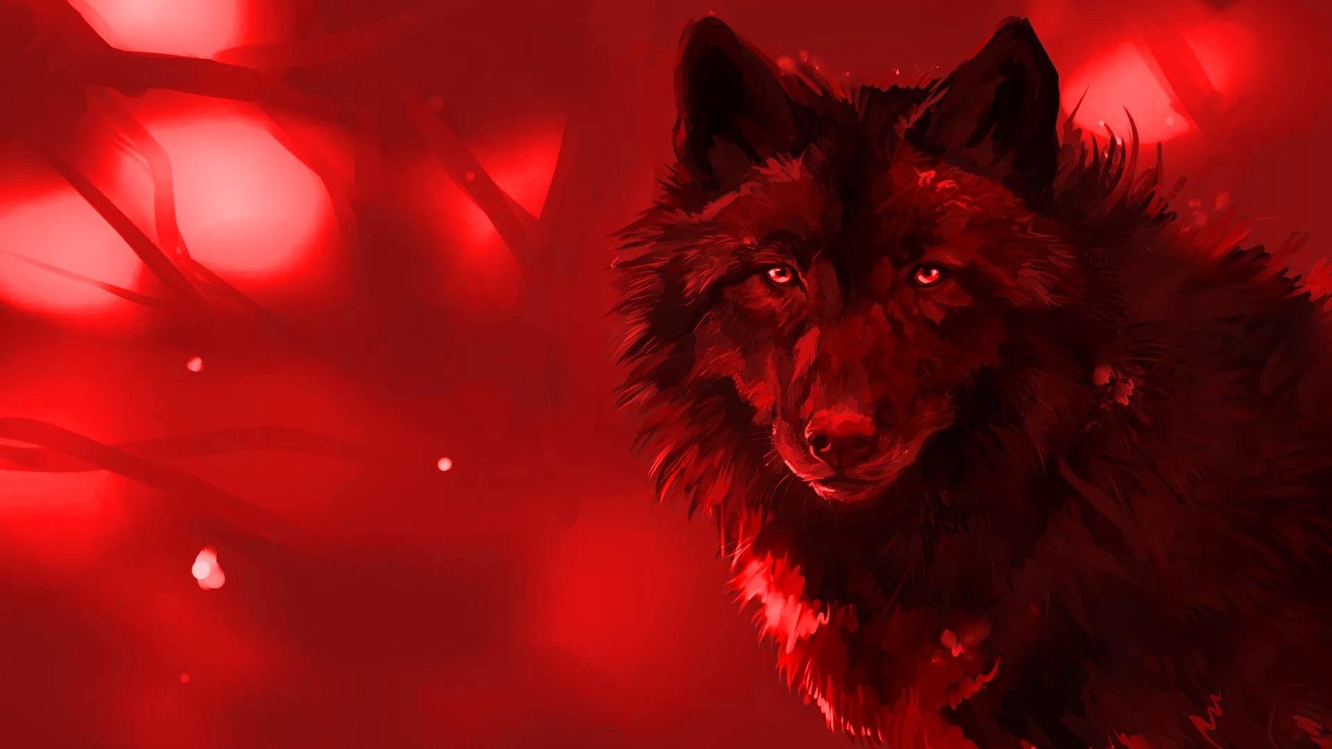 Cool Red Wolf Wallpapers Top Free Cool Red Wolf Backgrounds WallpaperAccess
