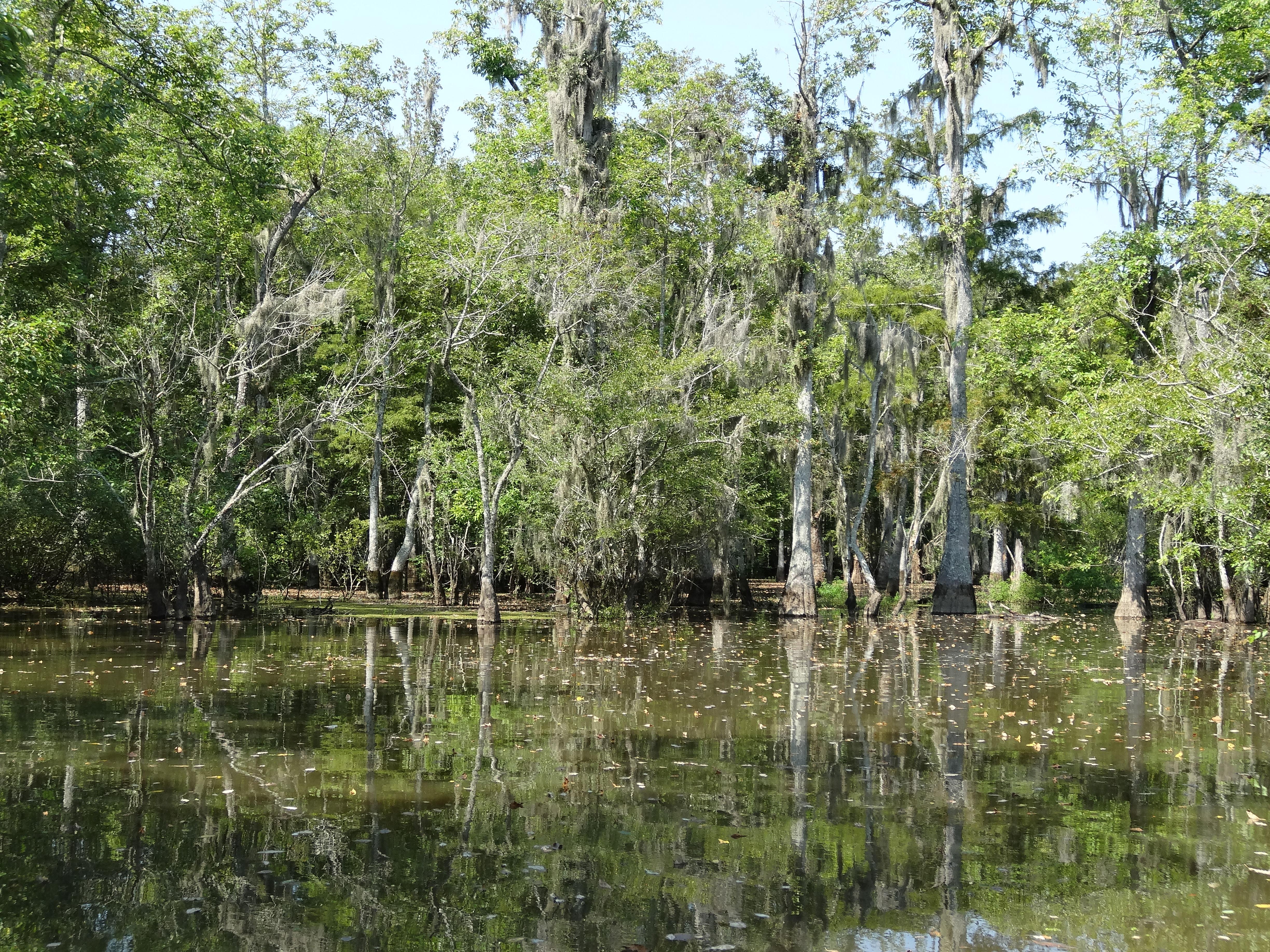 4896x3672 Louisiana