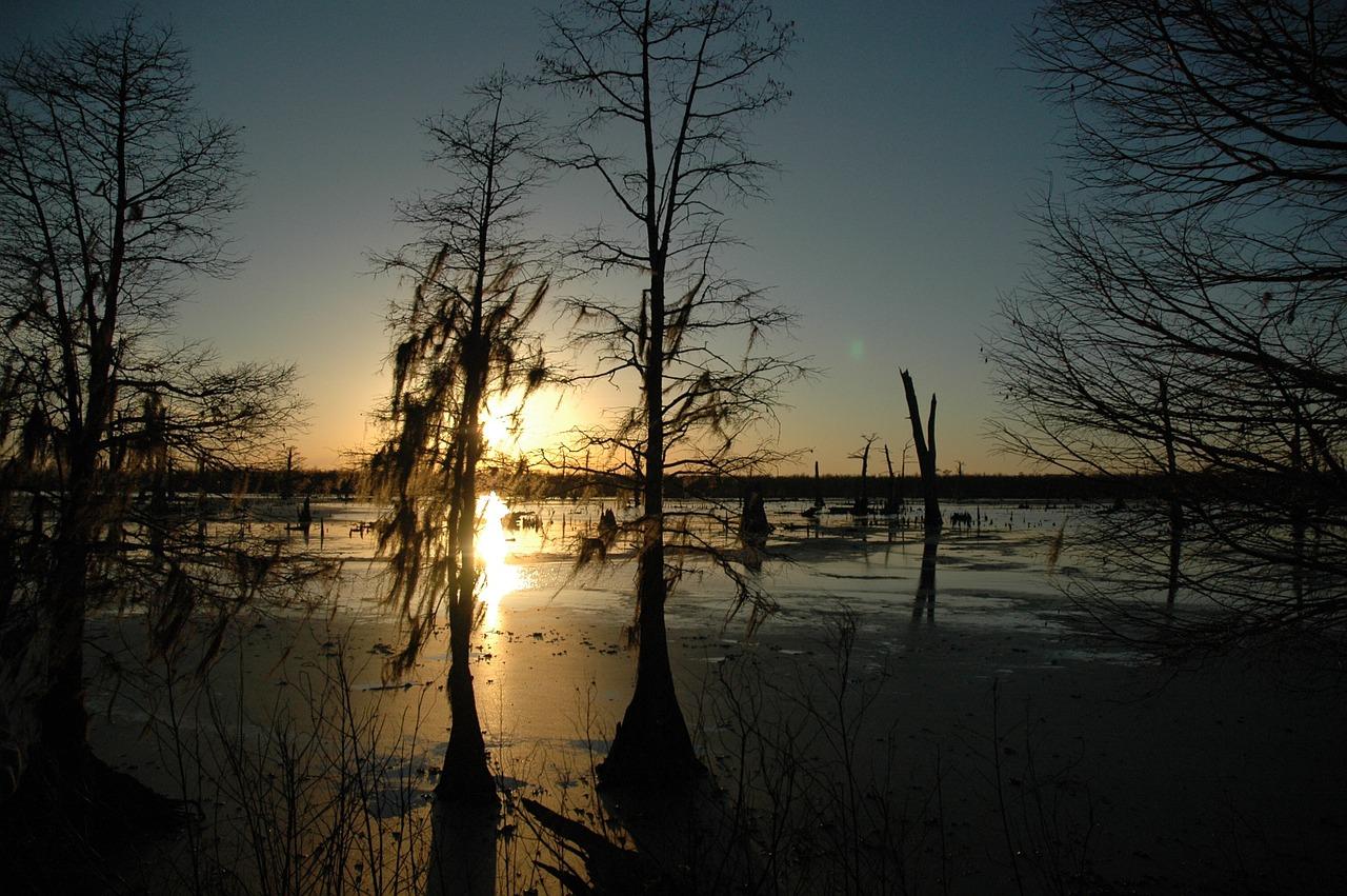 1280x851 Bayou Sunset Swamp
