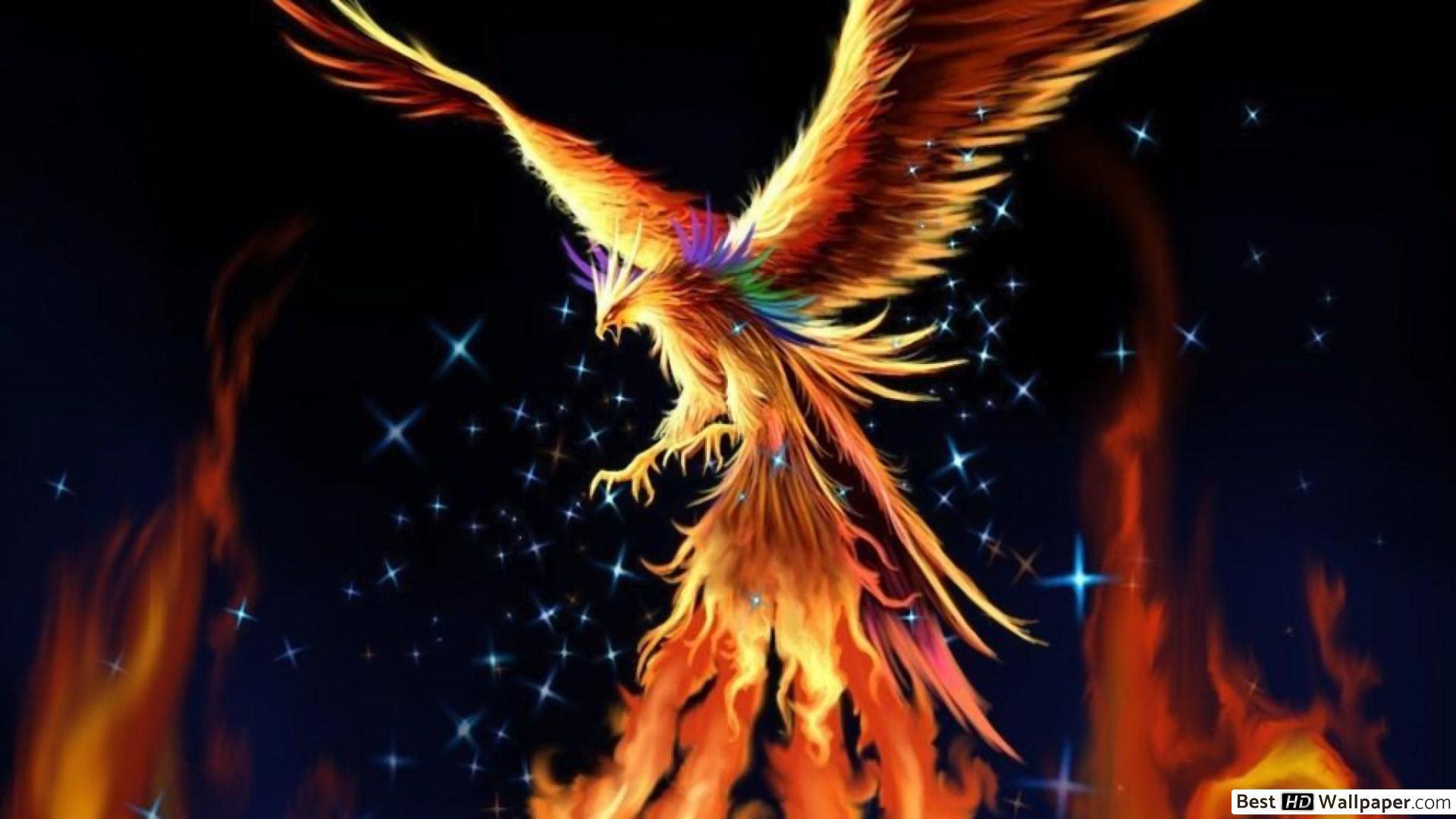 1920x1080 Fire Phoenix HD wallpaper download