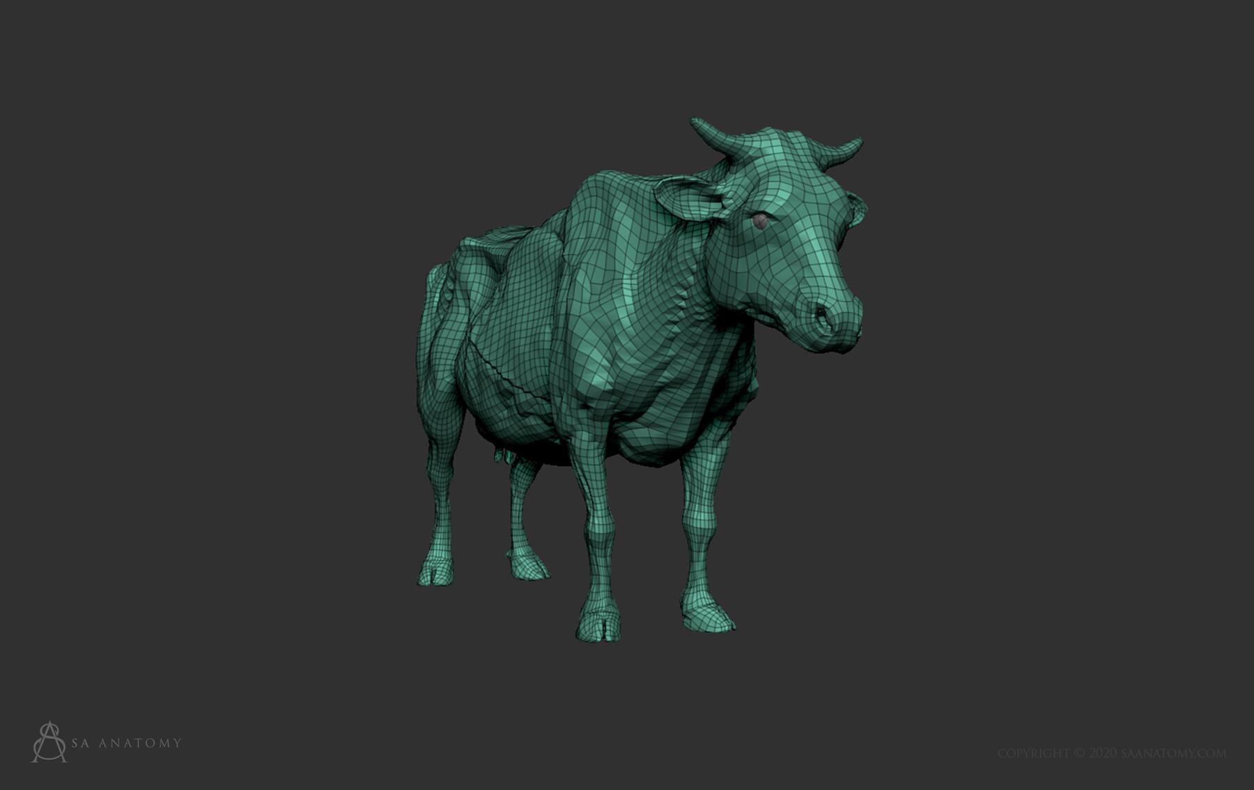 1800x1134 Human & Animal Anatomy Figures