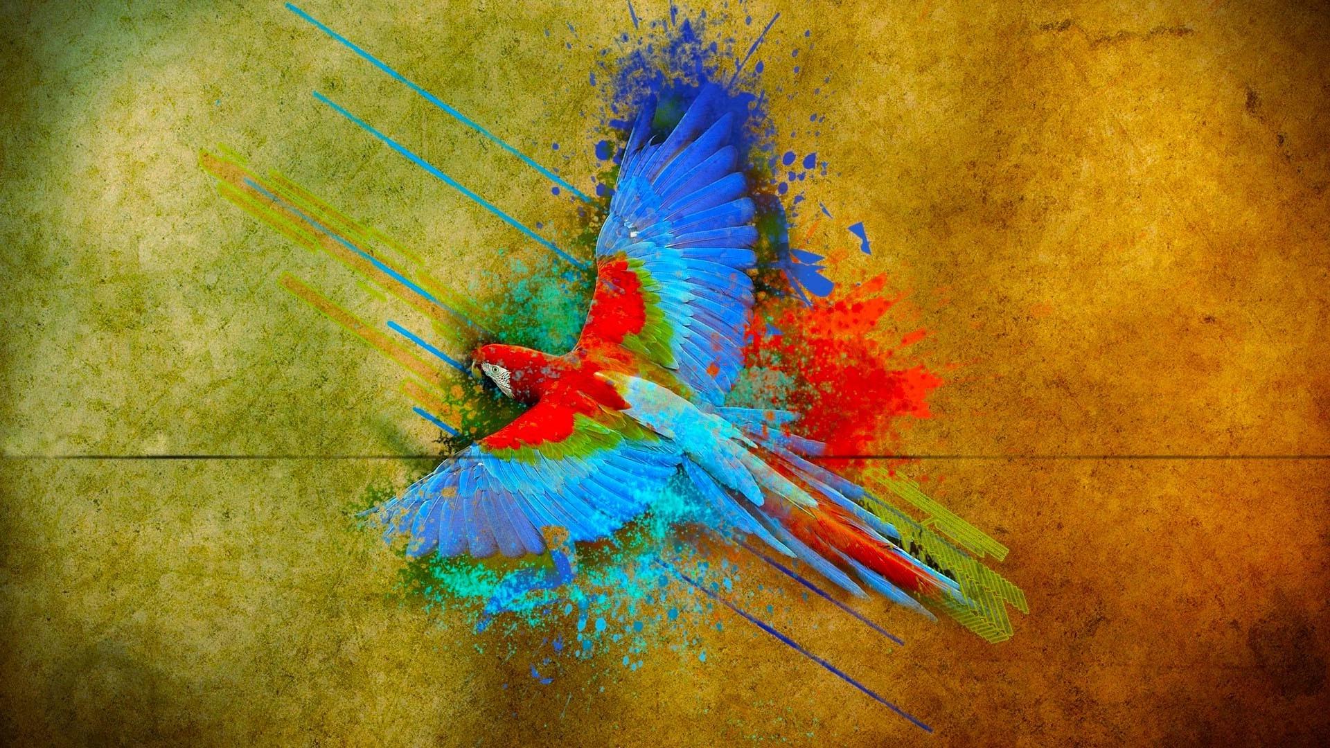 1920x1080 1920x1080 parrot birds colorful flying wallpaper JPG 753 kB. Mocah HD Wallpaper