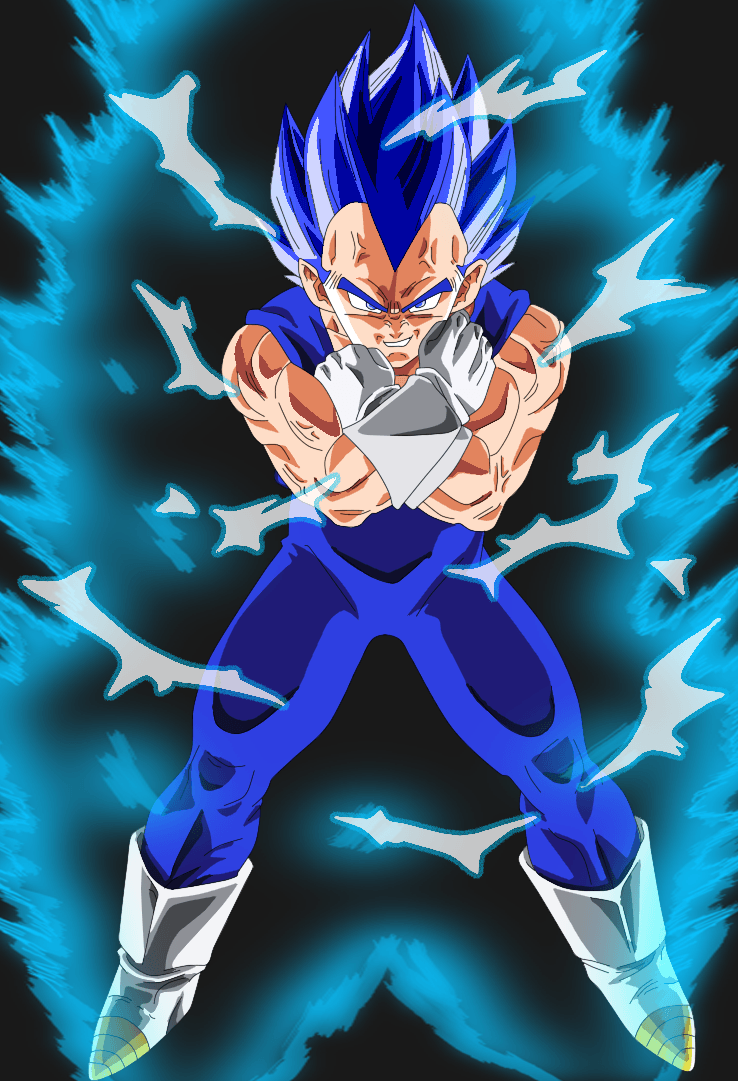 738x1081 Super Saiyan God Wallpaper