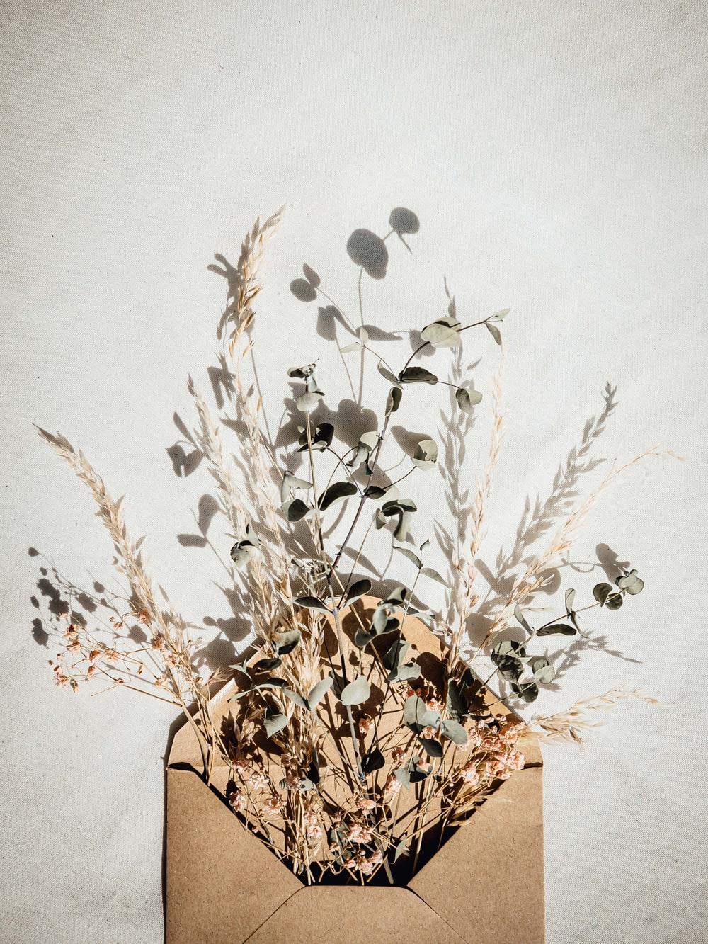 1000x1333 Boho Chic Picture. Download Free Image