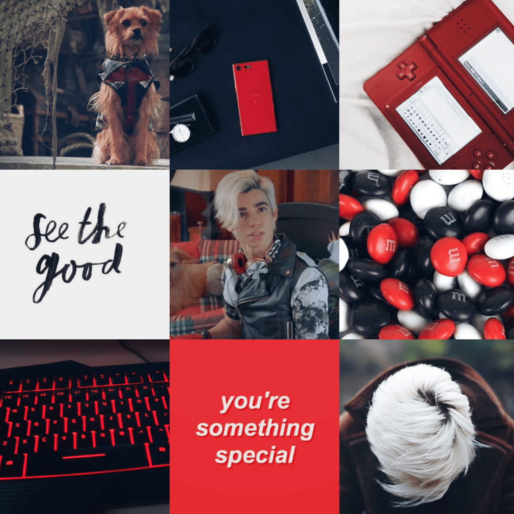 1773x1773 Carlos de Vil Aesthetic