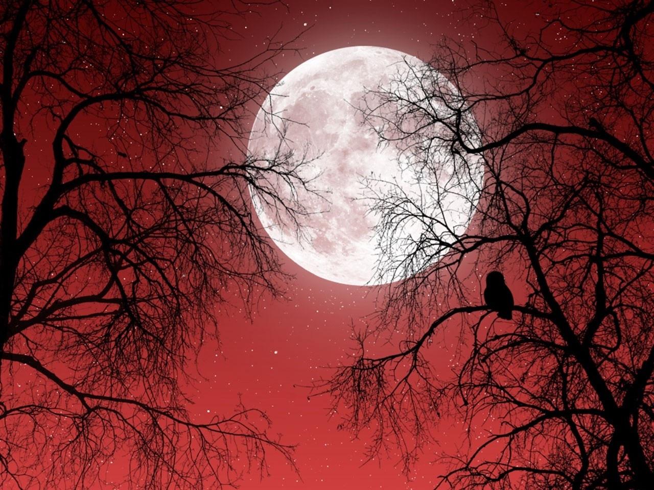 1280x960 wallpaper, halloween wallpaper and halloween