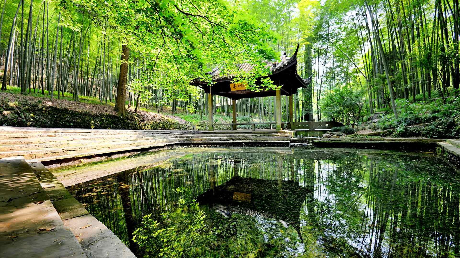 1920x1080 #China, #Asian architecture, #architecture, #building, #pagoda, #reflection, #nature, #water, #lake, #trees, #leaves, #landscape, #forest, wallpaper. Mocah HD Wallpaper