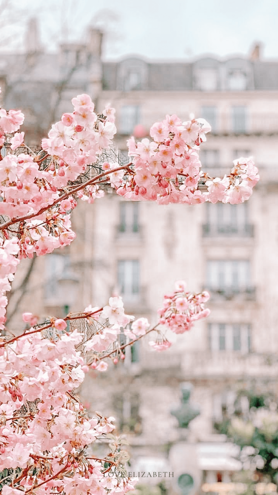 1152x2048 Wp Content Uploads 2020 04 Love Elizabeth Easter Wallpape. Cute Wallpaper Background, Nature Iphone Wallpaper, Wallpaper Iphone Summer