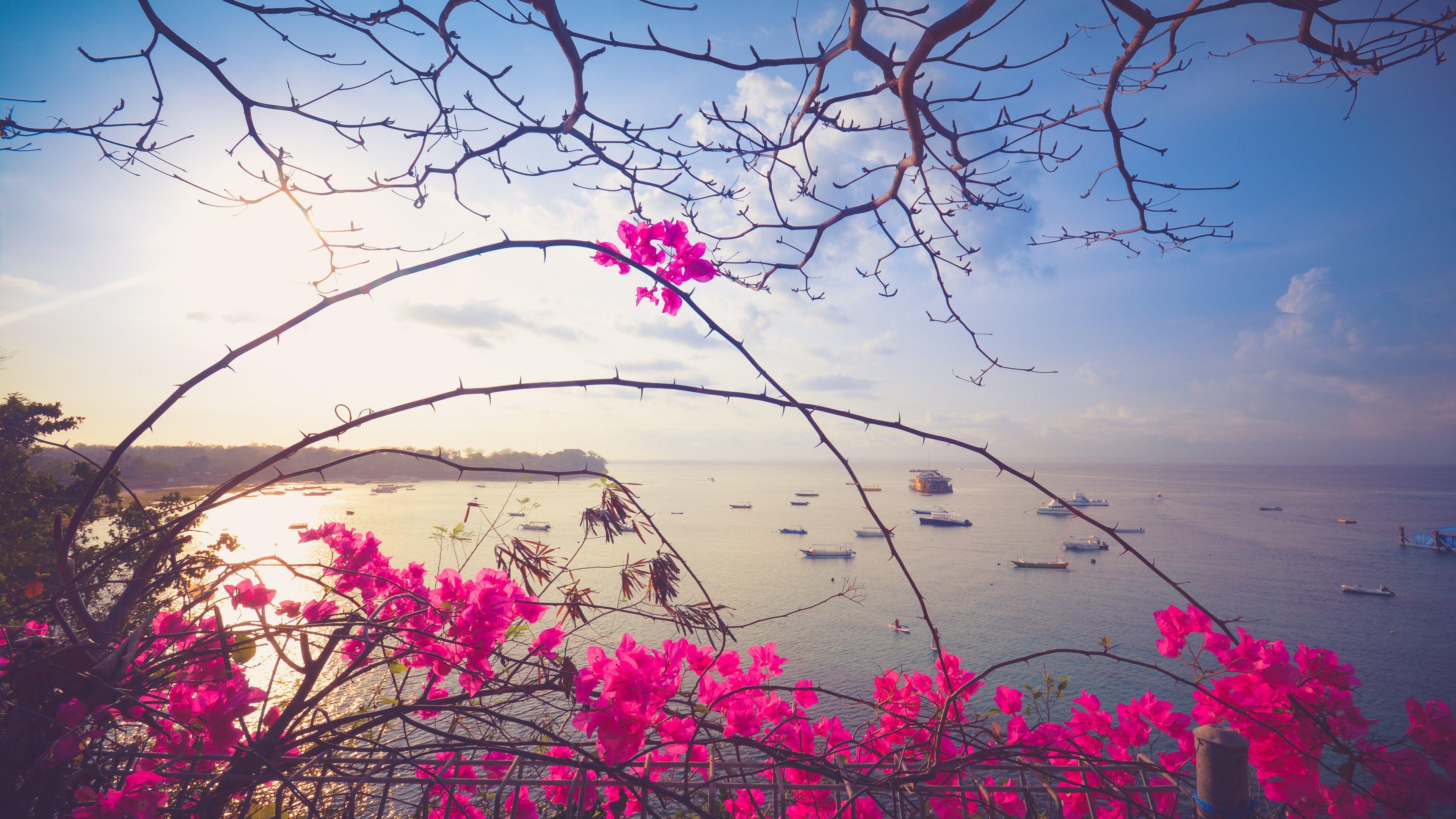 3840x2160 Wallpaper from Flowers Category. Wallpaper Studio 10