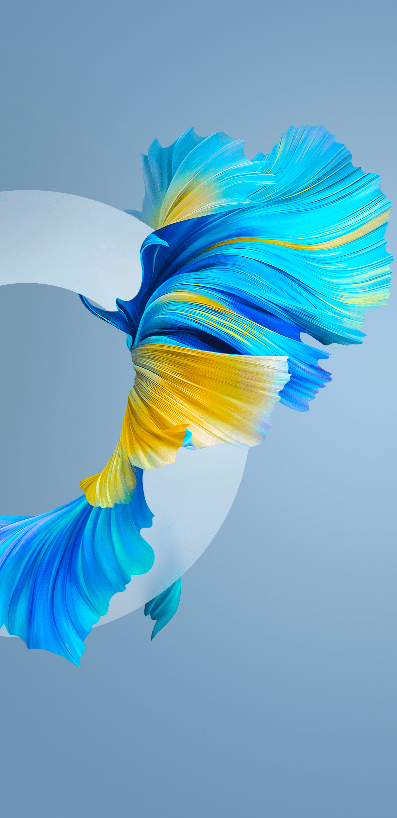 1344x2772 Huawei Mate 40 Pro Wallpaper