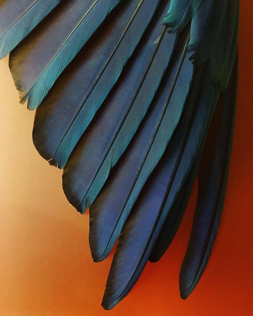 1000x1249 Cute Wallpaper [Download]. 's collection