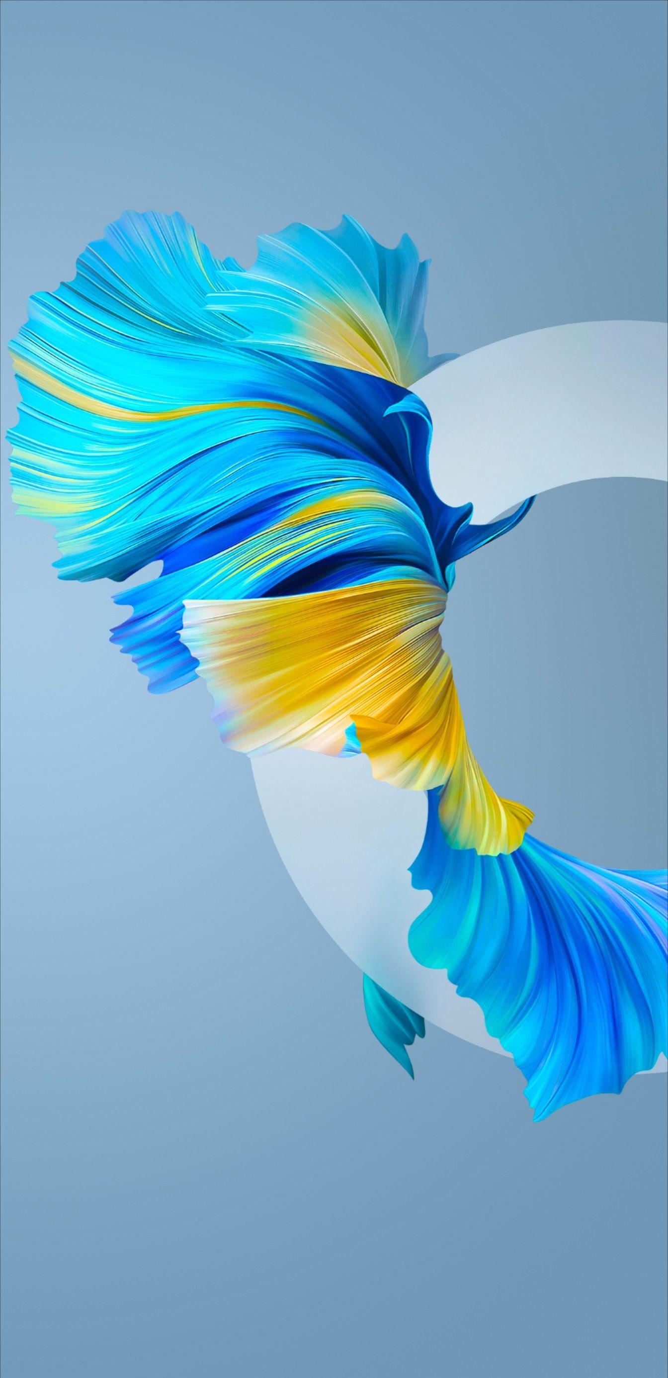 1344x2771 E 40 Wallpaper