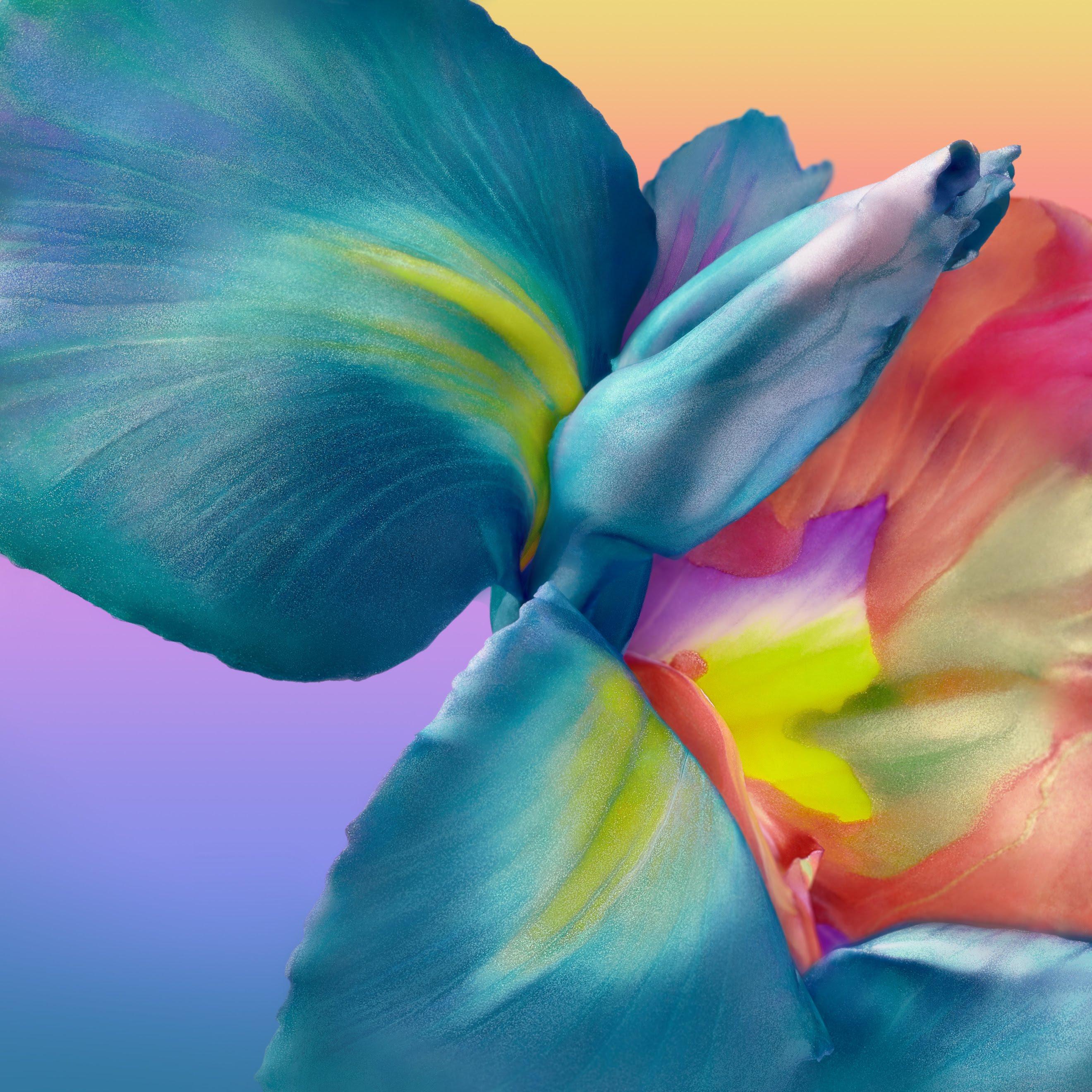 2640x2640 Wallpaper Huawei, Huawei P40 Pro, Sfondi Huawei P40 Pro, Huawei P Huawei Mate Background Free Image