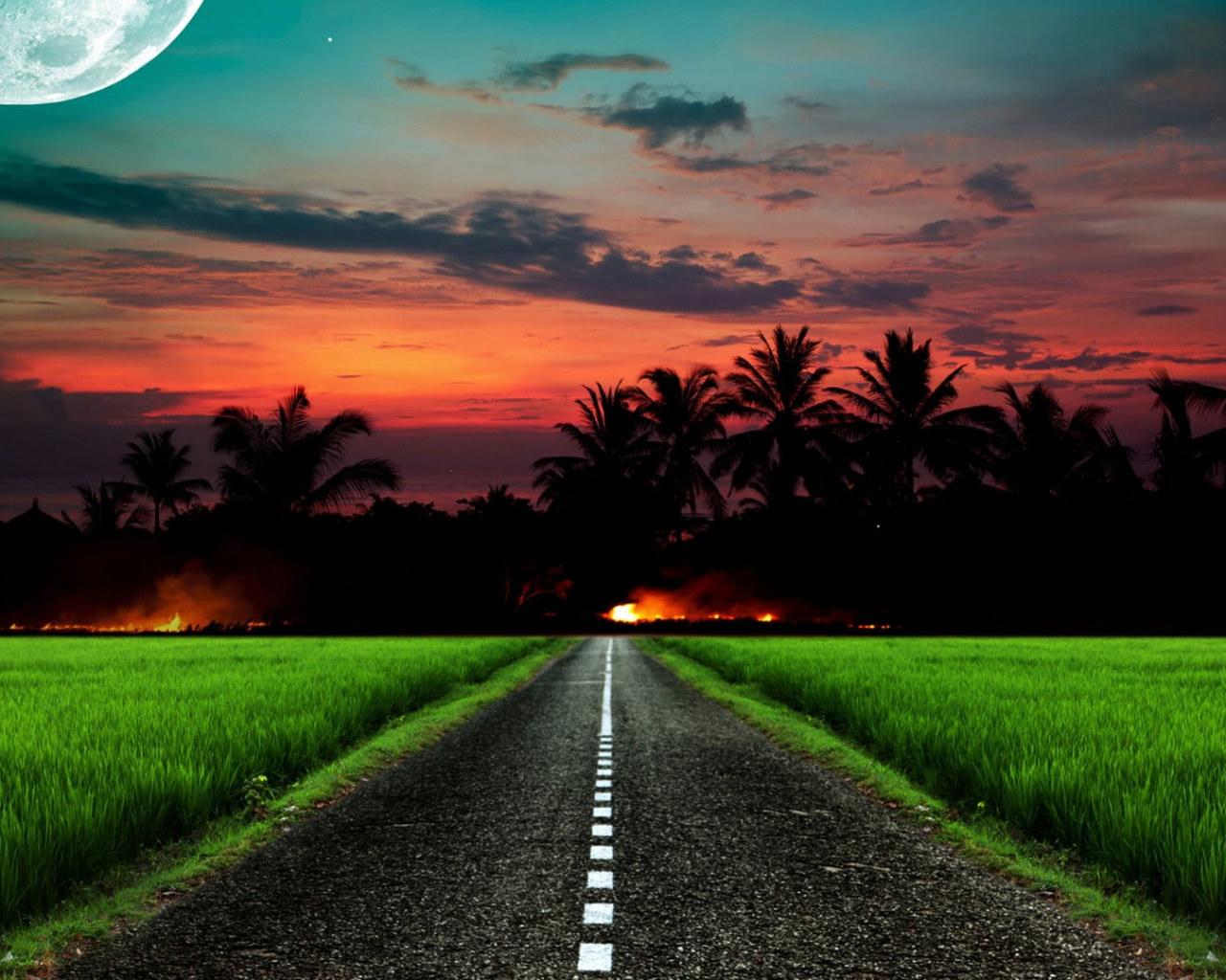 1280x1024 Sky, tropical, field, afterglow, moonlight, road, silhouette wallpaper • Wallpaper For You HD Wallpaper For Desktop & Mobile