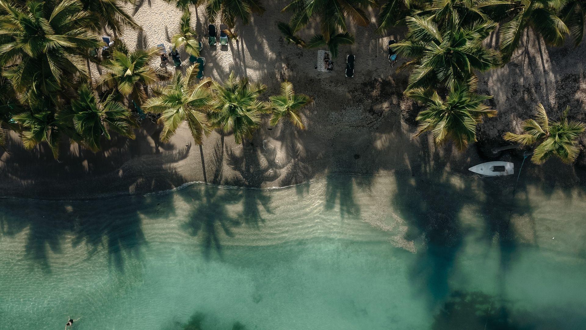 1920x1080 Desktop wallpaper exotic, beach, palm trees, drone view, HD image, picture, background, 42c8f0