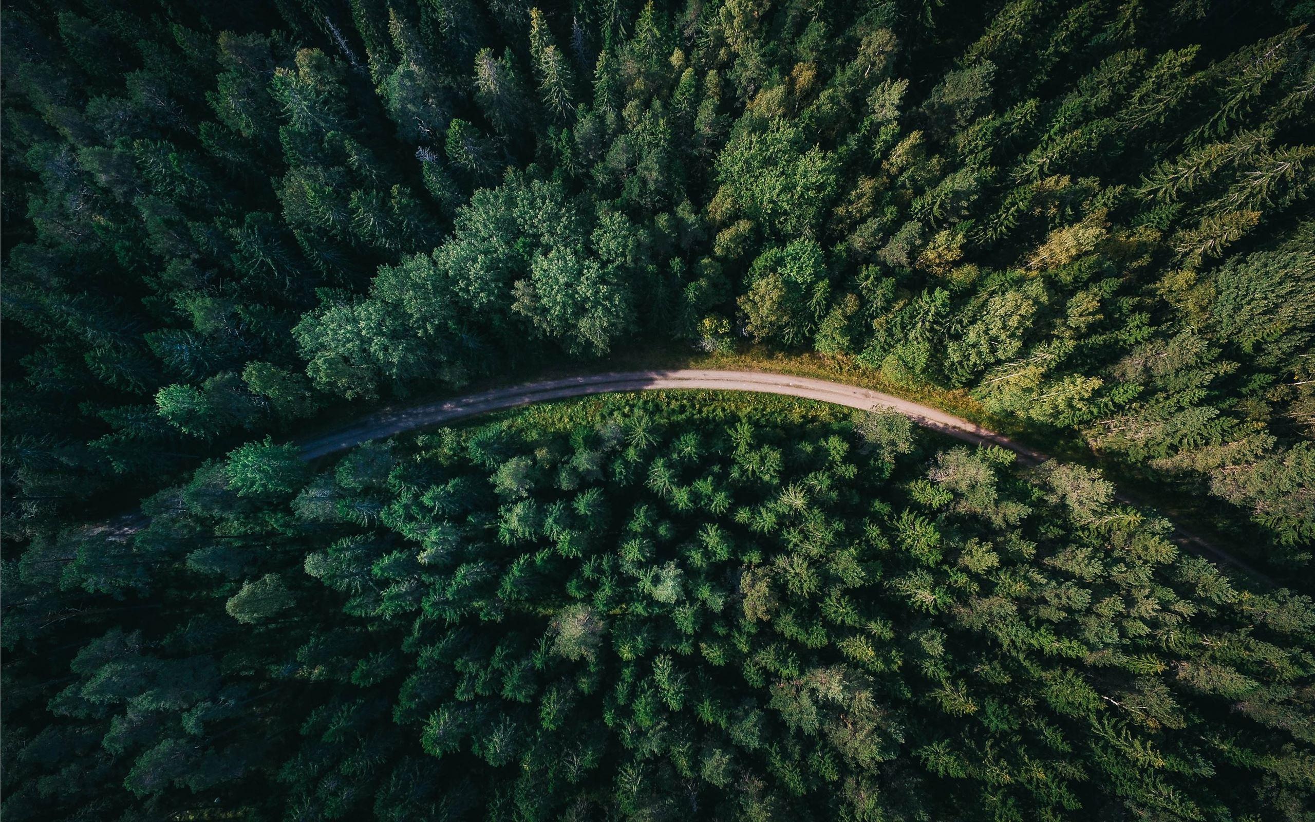 2560x1600 Best Drone view Mac Wallpaper Free HD Download
