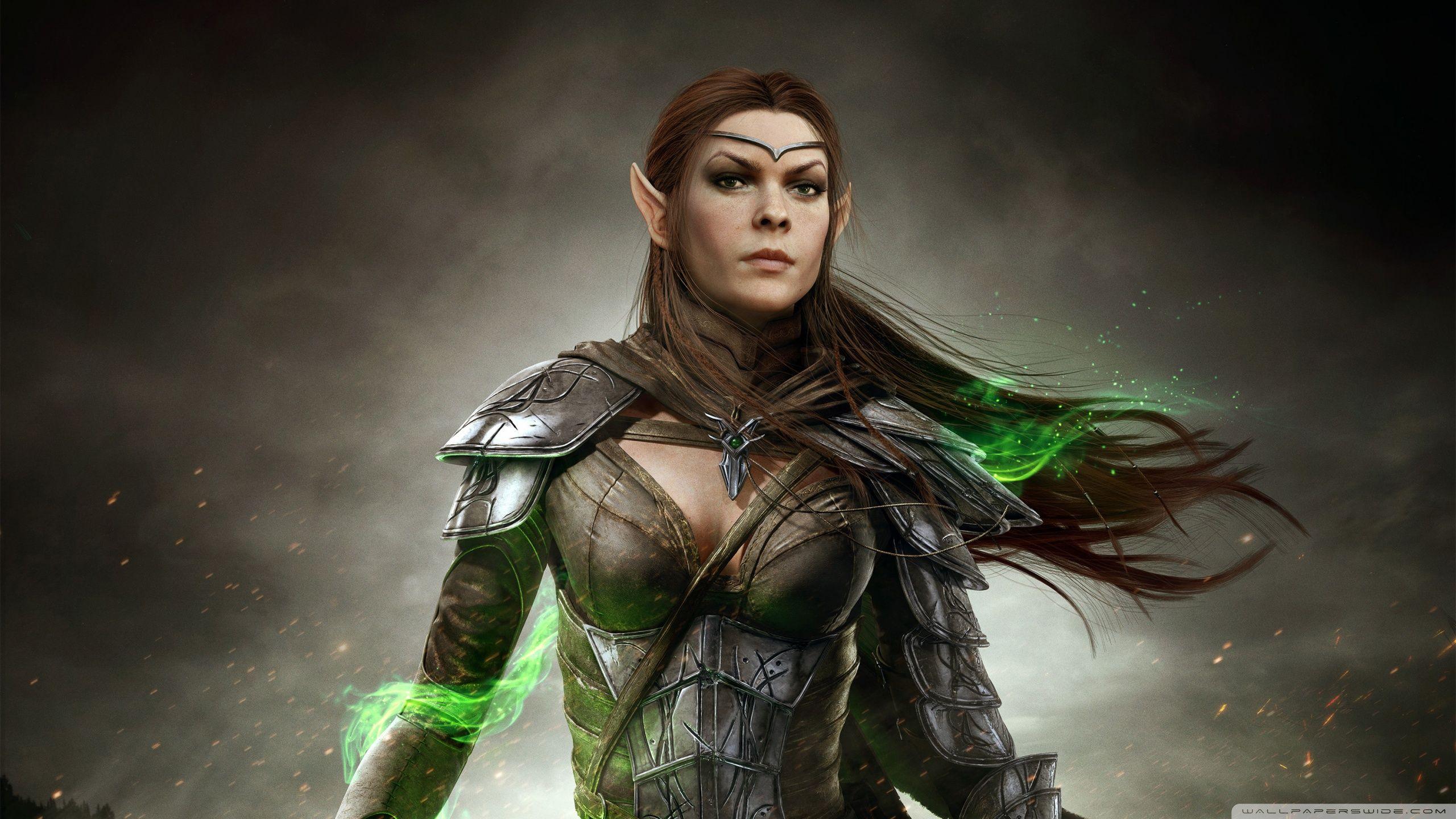 Skyrim Wood Elf Wallpapers Top Free Skyrim Wood Elf Backgrounds 