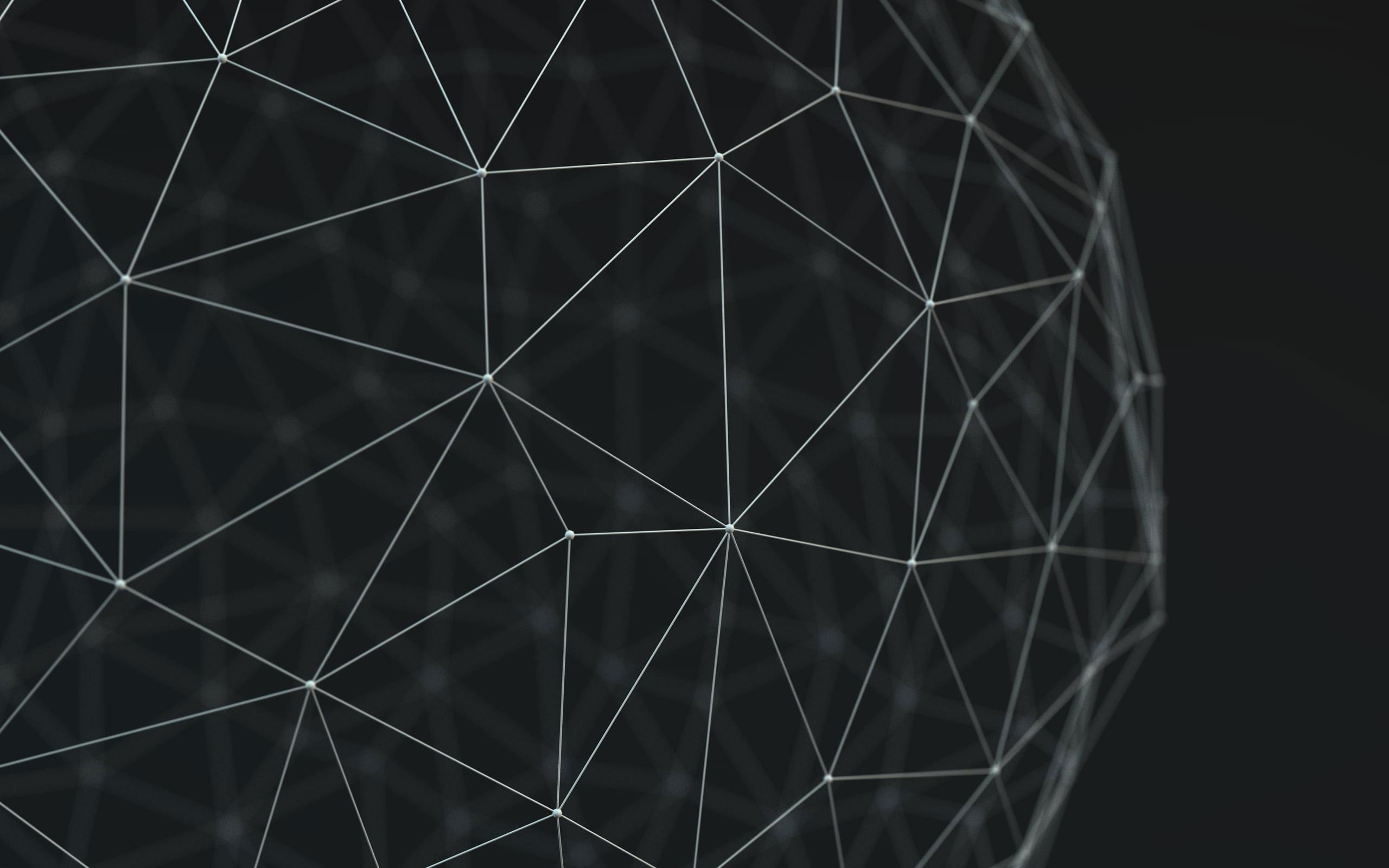 2560x1600 White and black geometric wallpaper, wireframe, low poly • Wallpaper For You HD Wallpaper For Desktop & Mobile