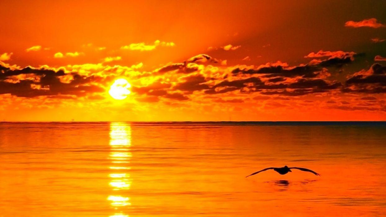 Free download Sunrise Live Wallpaper free app download for Android  480x800 for your Desktop Mobile  Tablet  Explore 47 Sunrise Wallpapers  Free Download  Sunrise Background Images Sunrise Beach Wallpaper Sunrise  Wallpaper