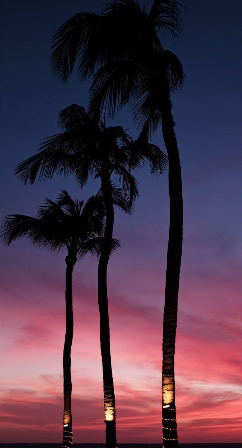 777x1437 Good things are coming oceanic iPhone wallpaper