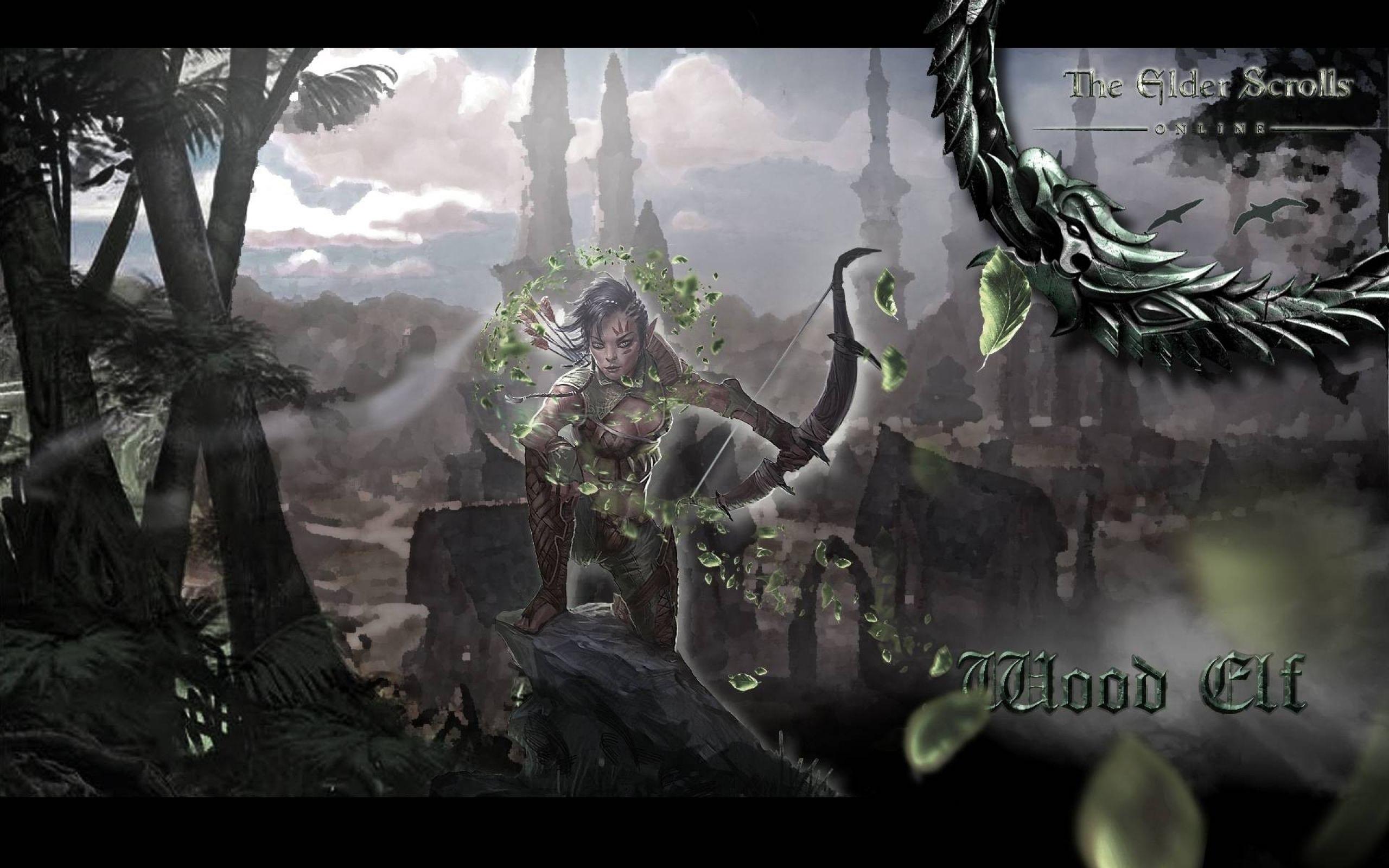 Skyrim Wood Elf Wallpapers Top Free Skyrim Wood Elf Backgrounds