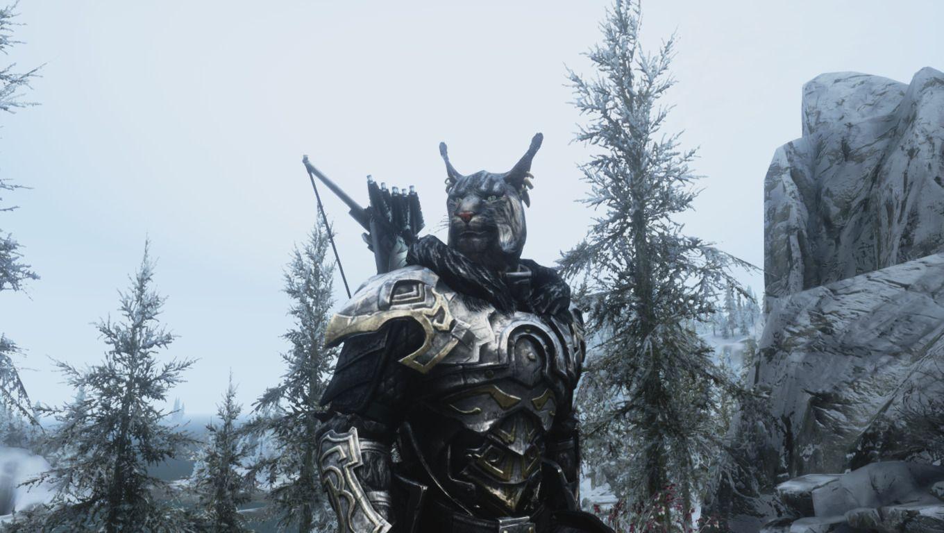1360x768 the elder scrolls v skyrim the elder scrolls khajiit wood elves