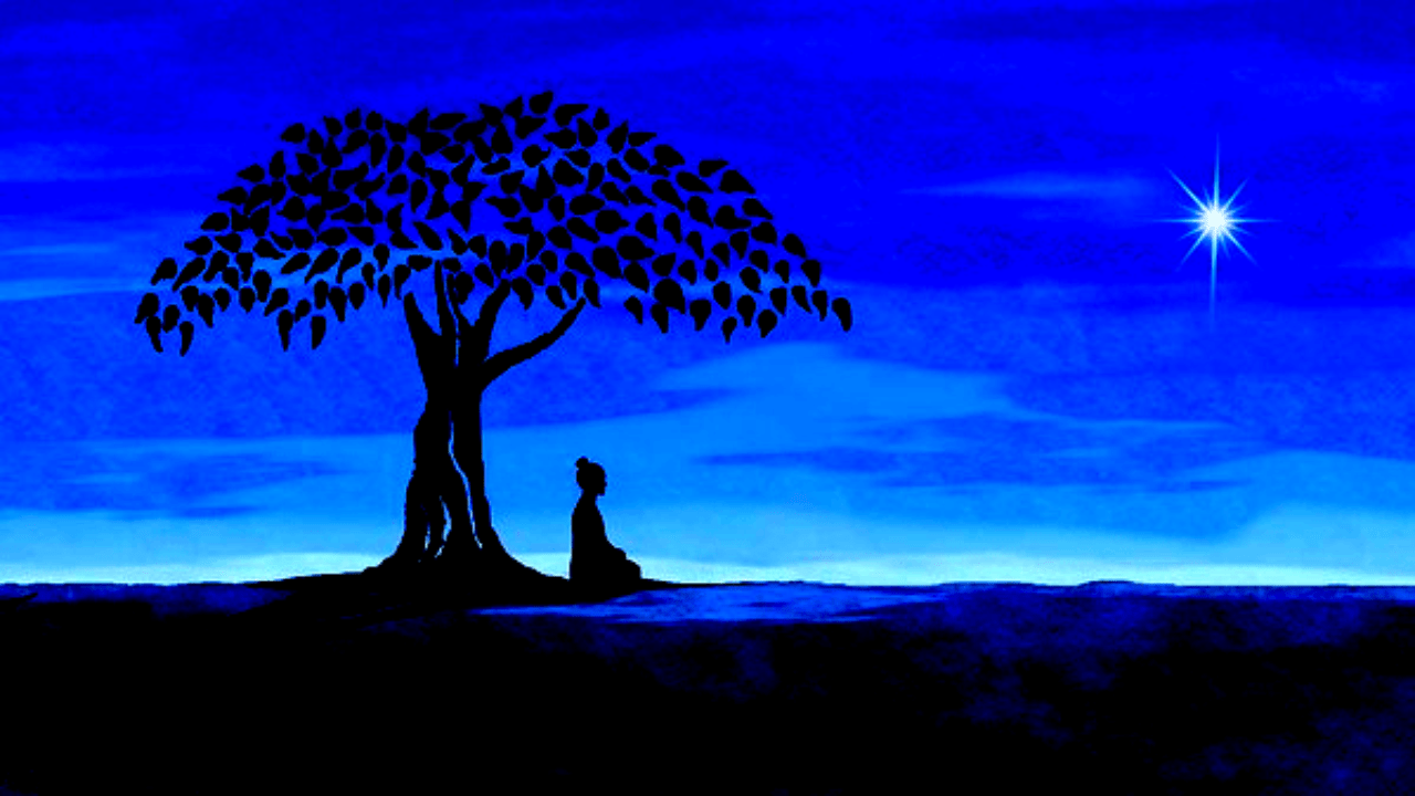 1280x720 Bodhi Wallpaper