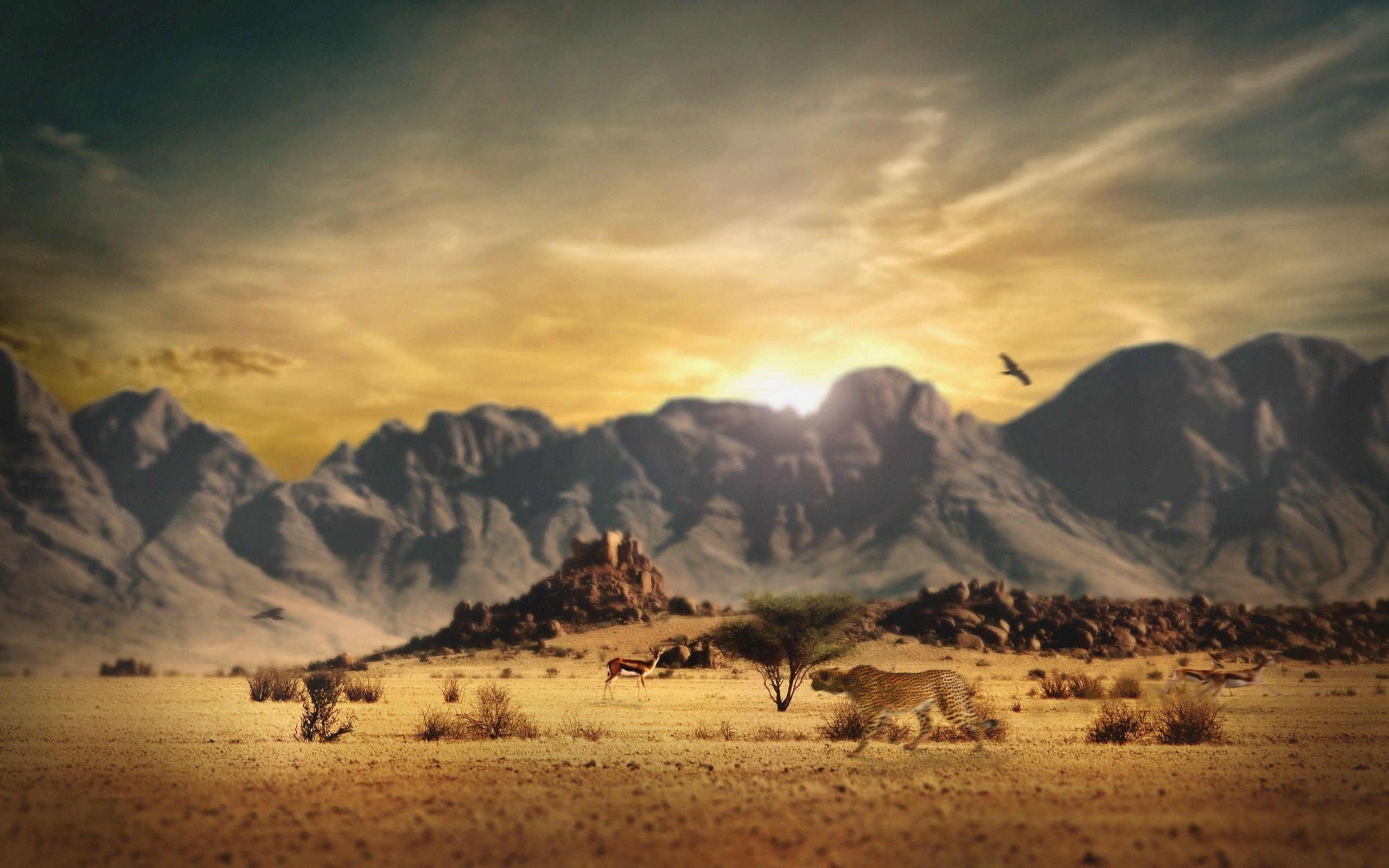 2560x1600 In Gallery: West Wallpaper, 46 West HD Wallpaper. Background
