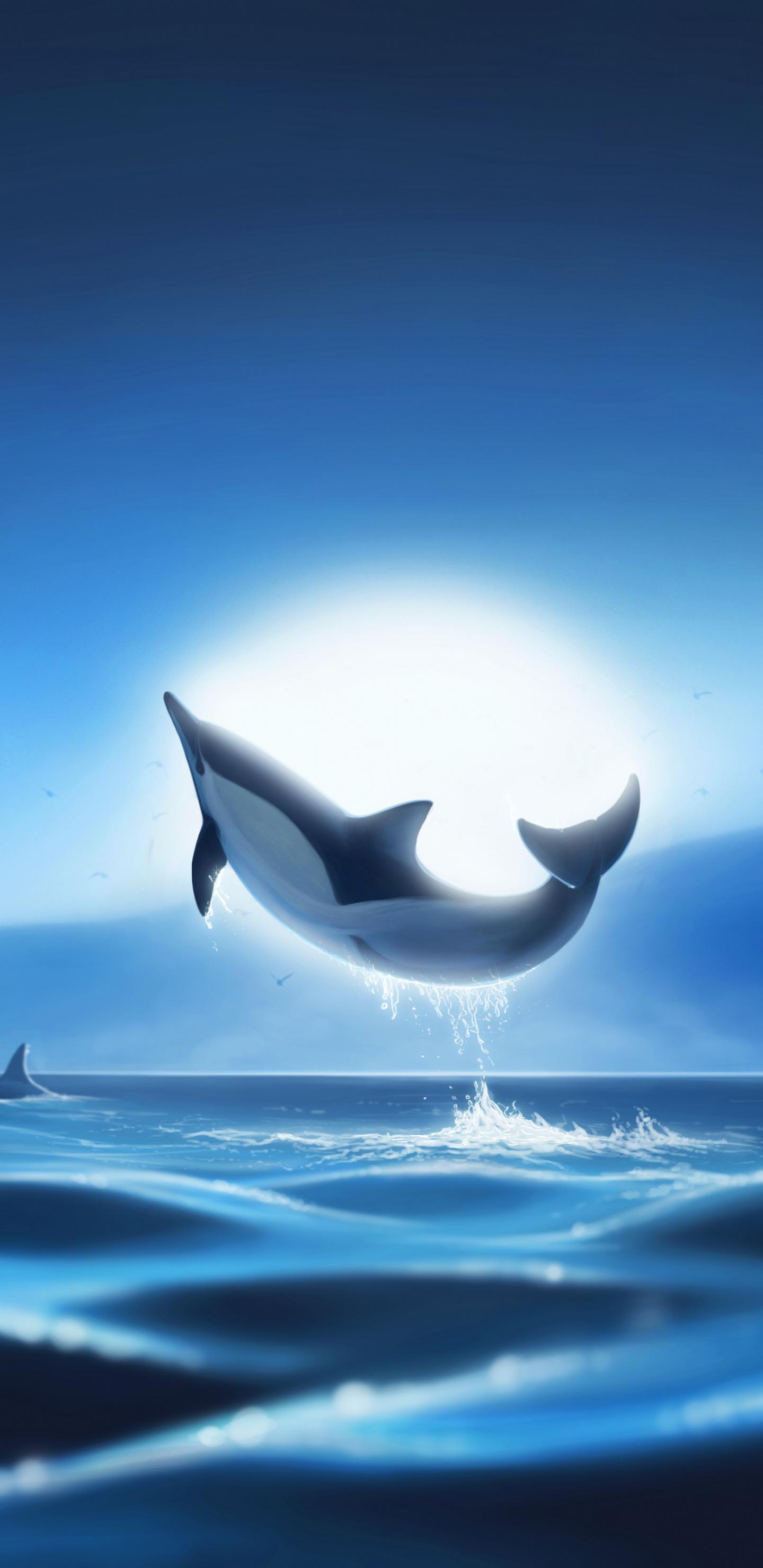 Samsung S8 Whale Wallpapers - Top Free Samsung S8 Whale Backgrounds -  WallpaperAccess