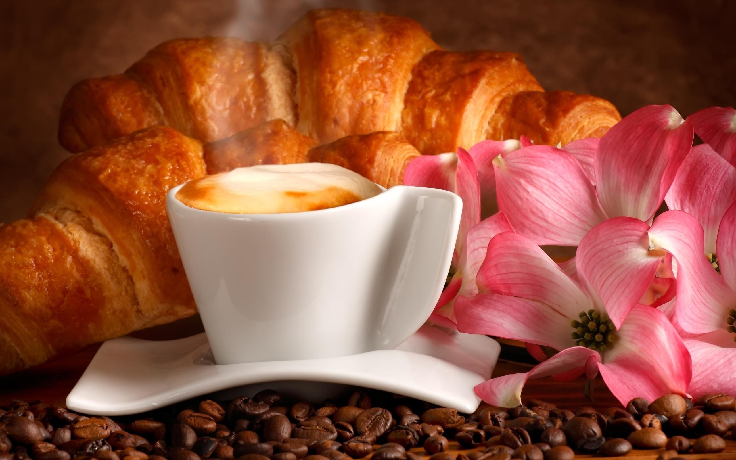 2560x1600 Croissant Wallpaper