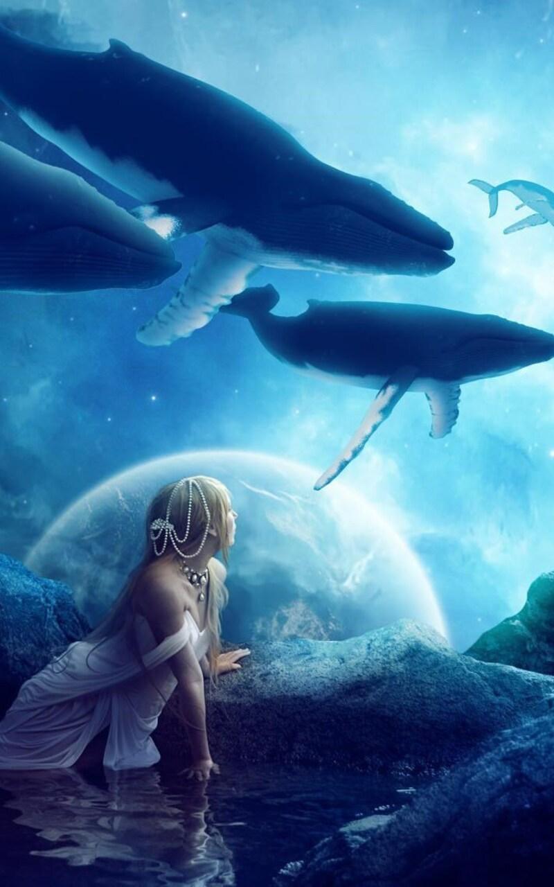 Samsung S8 Whale Wallpapers - Top Free Samsung S8 Whale Backgrounds -  WallpaperAccess