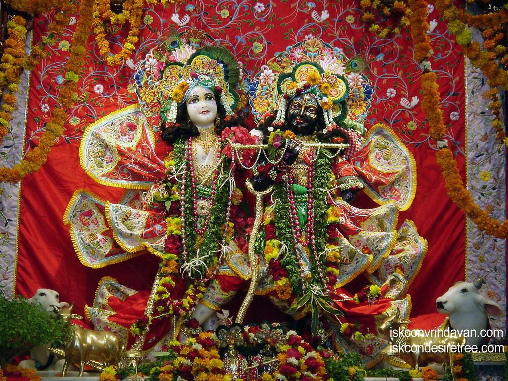 1024x768 Sri Sri Krishna Balaram Wallpaper (013). View above wallpap