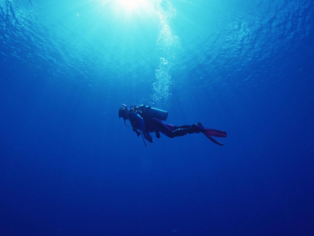 1024x768 Diving Wallpaper