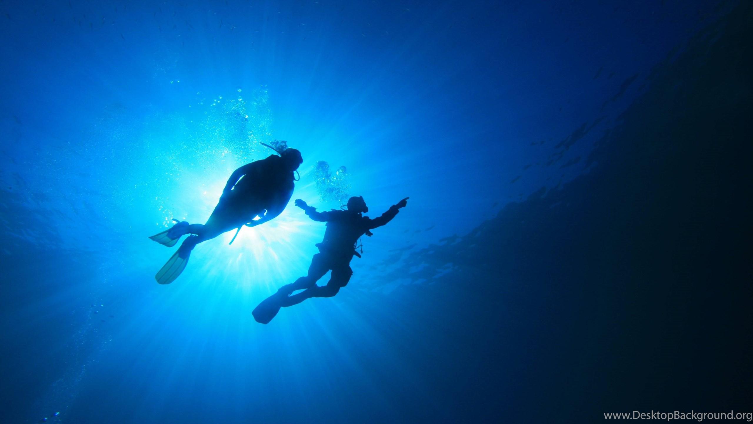 2560x1440 Free Scuba Diving Wallpaper Desktop Background
