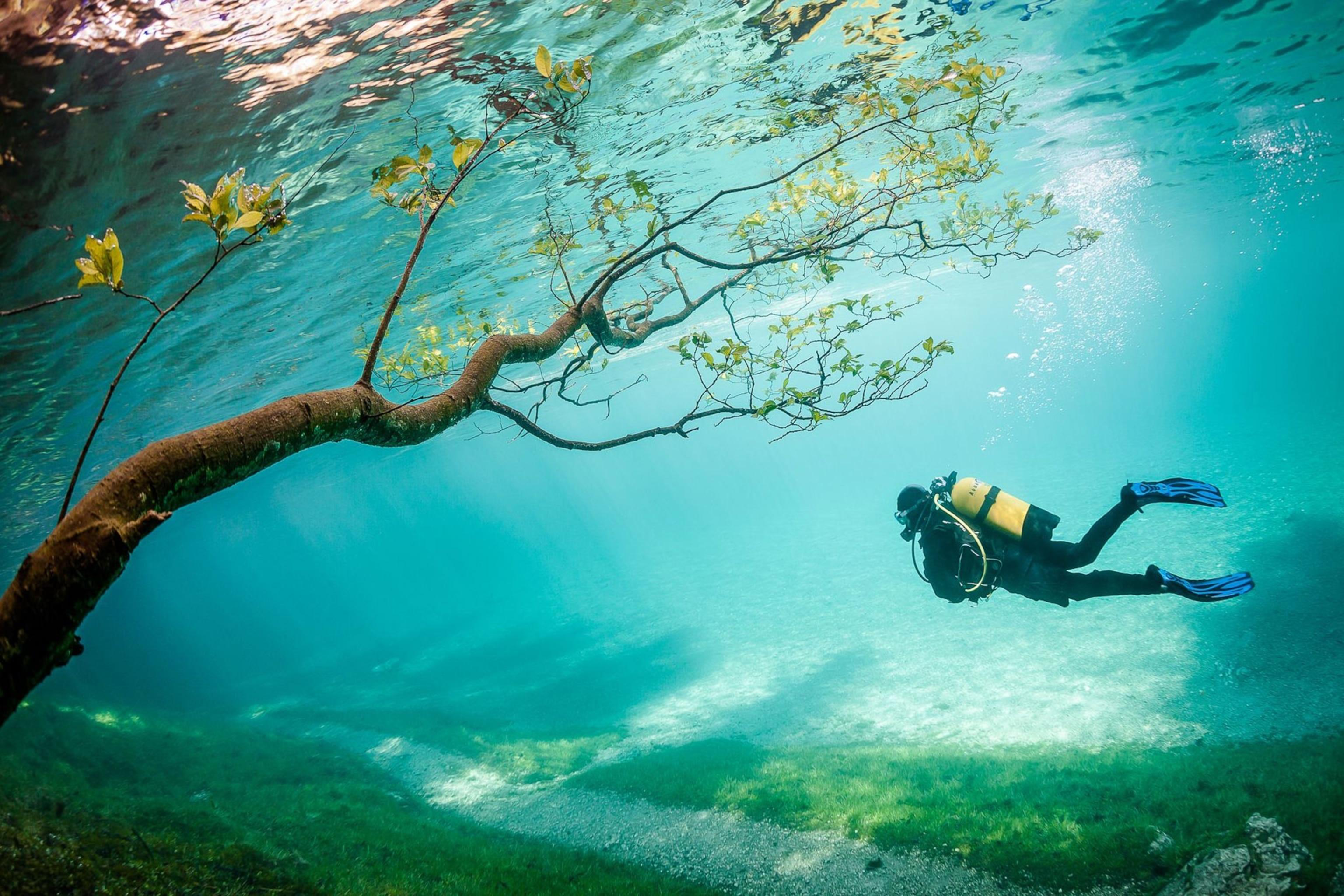 3072x2048 Beautiful Underwater Photo From National Geographic Your Shot