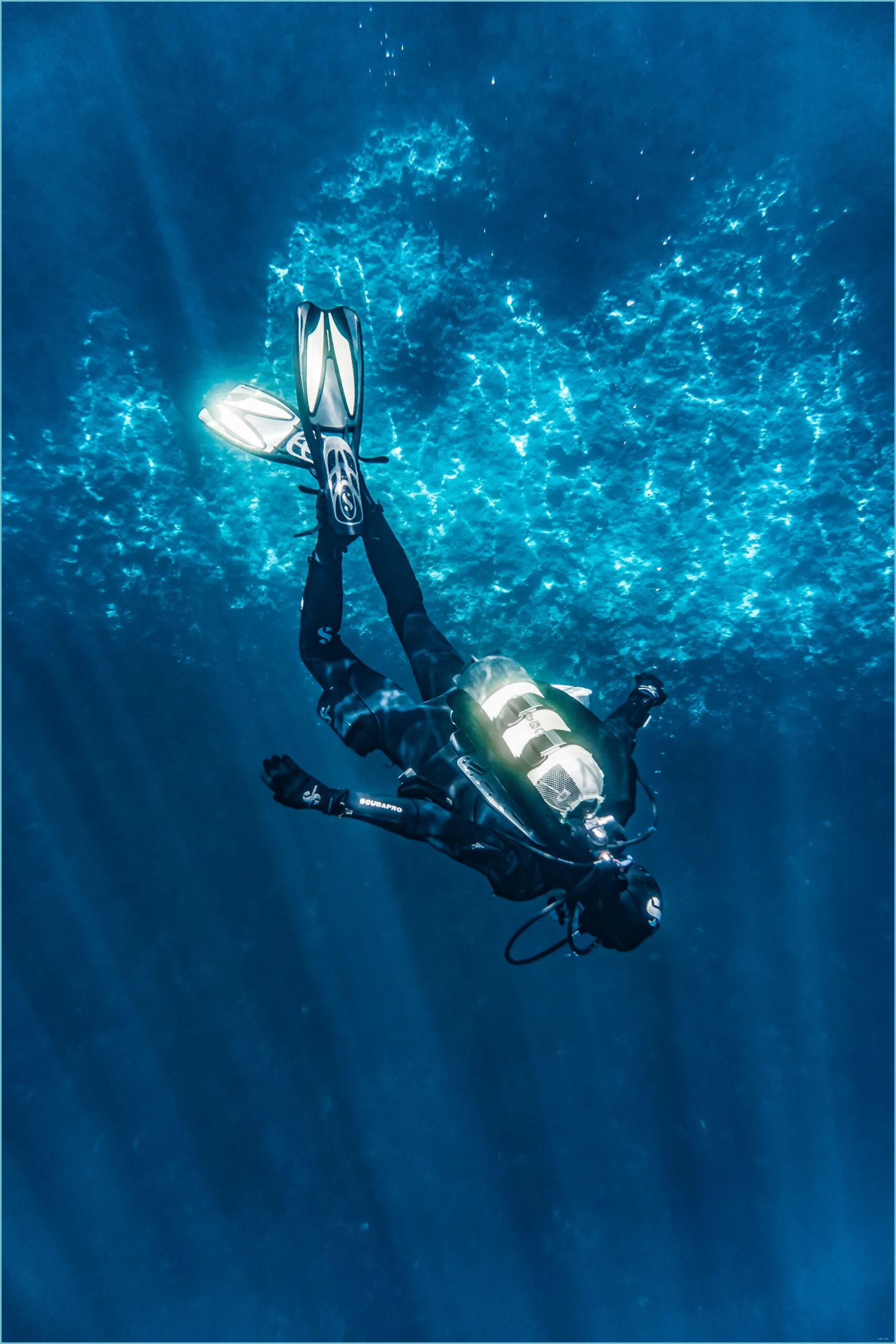 1707x2560 Best Scuba Diving Photo · 8% Free Download